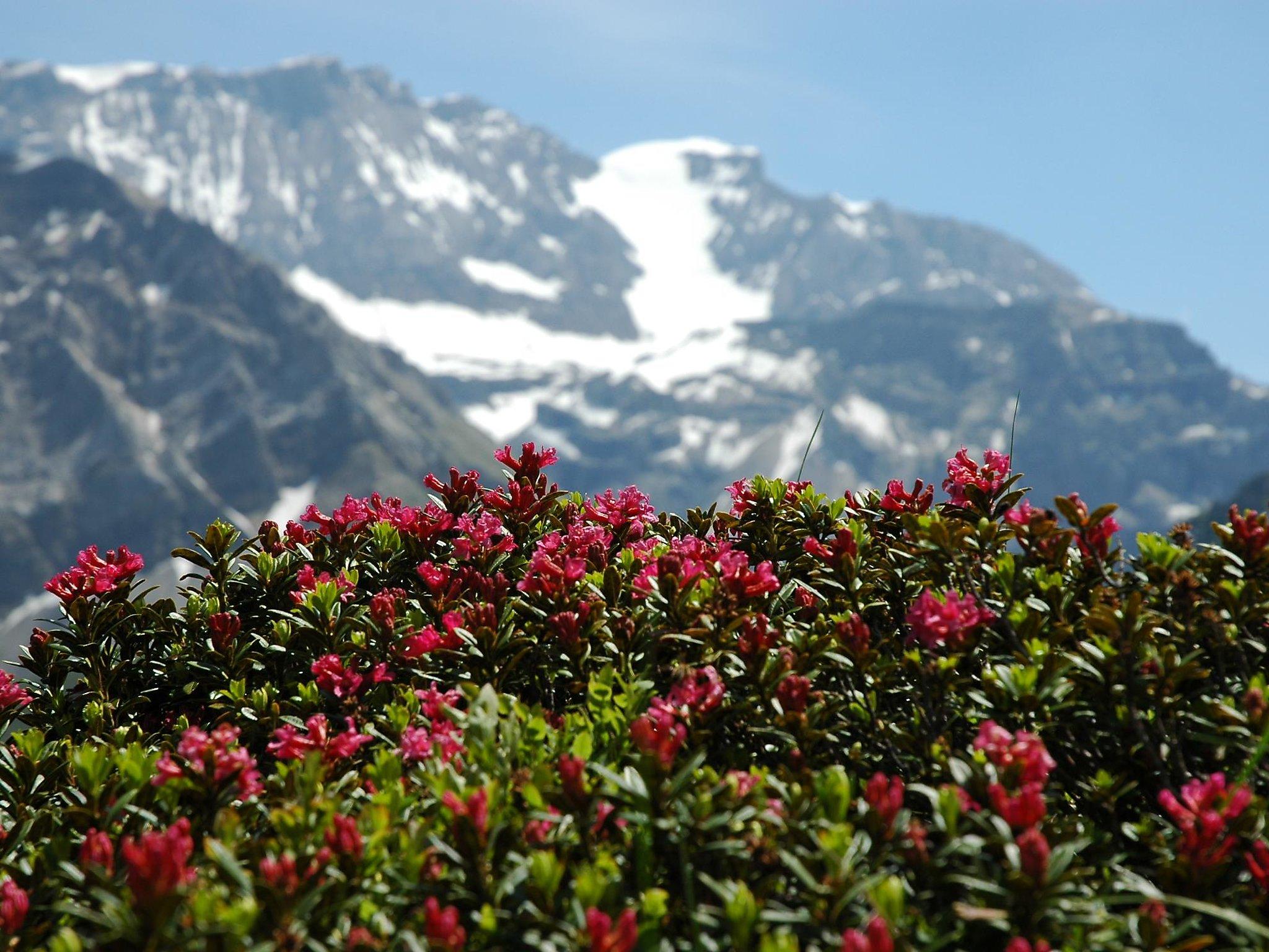 Foto 9 - Apartamento de 2 habitaciones en Adelboden con jardín