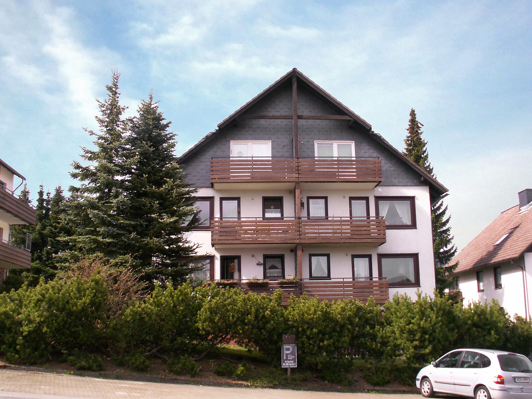 Photo 6 - Appartement de 1 chambre à Braunlage avec vues sur la montagne