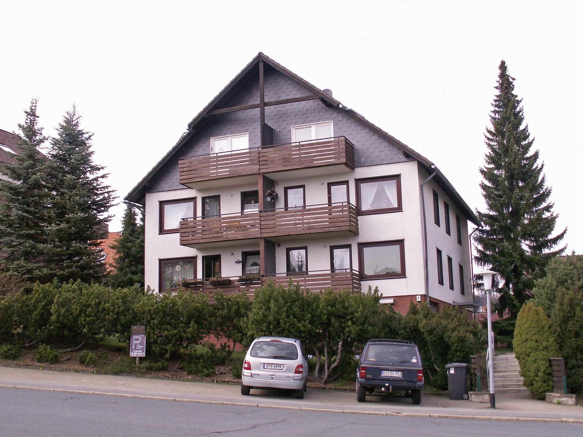 Foto 1 - Apartamento de 1 habitación en Braunlage con jardín