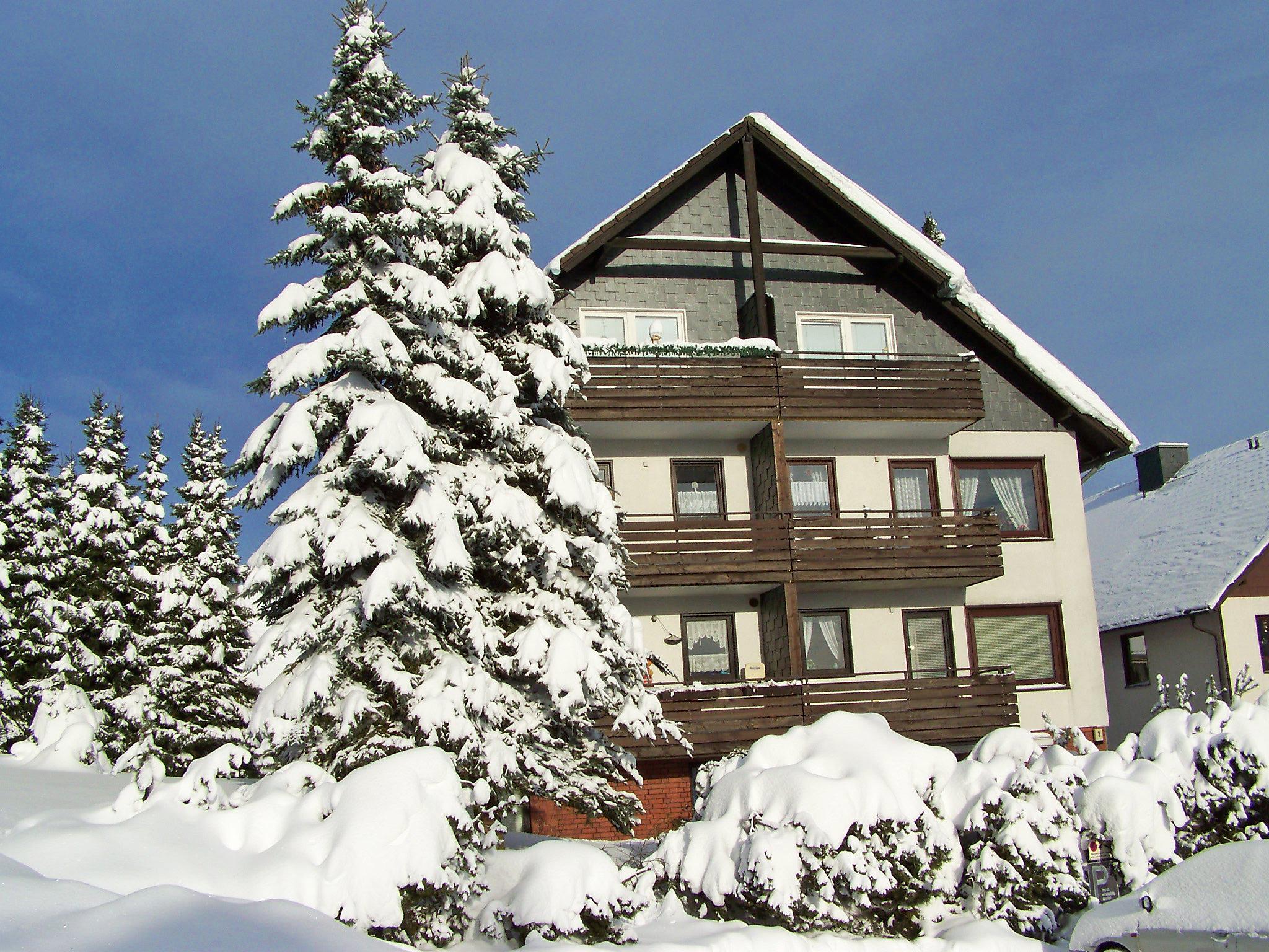 Foto 17 - Apartment mit 1 Schlafzimmer in Braunlage mit blick auf die berge