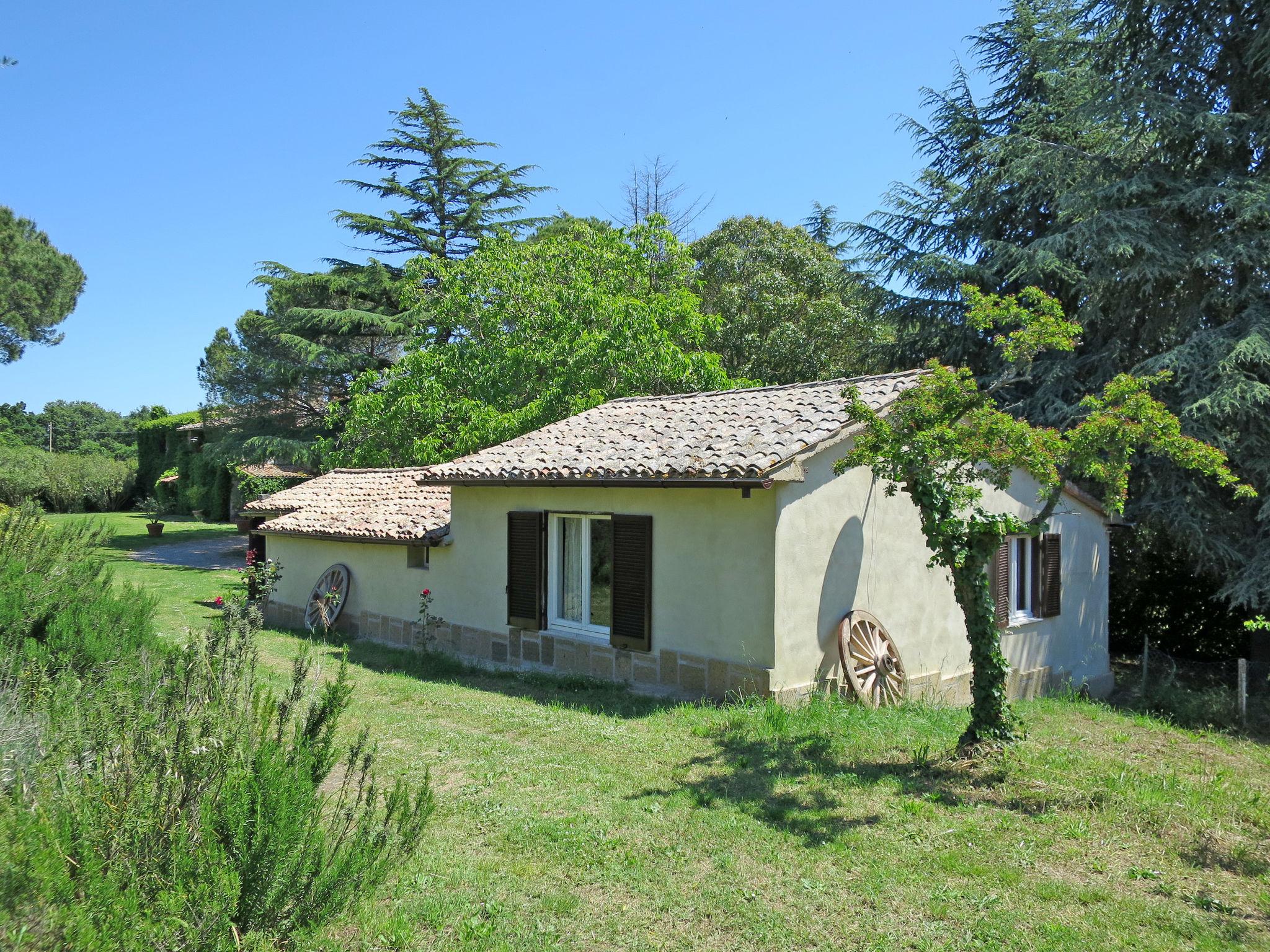 Foto 14 - Casa con 3 camere da letto a Bolsena con piscina e giardino