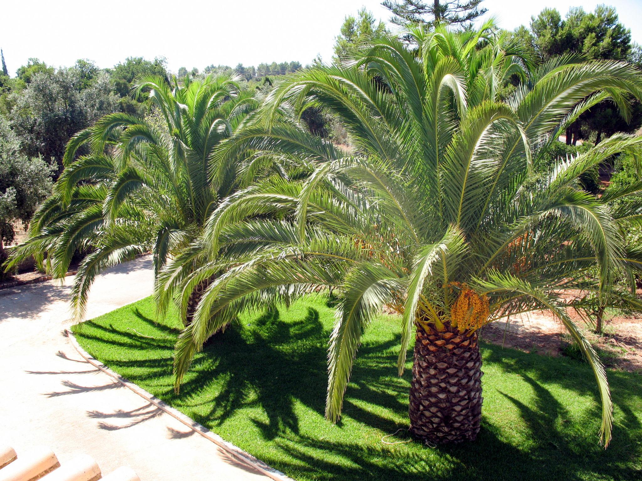 Photo 15 - Maison de 3 chambres à Lagoa avec piscine privée et jardin