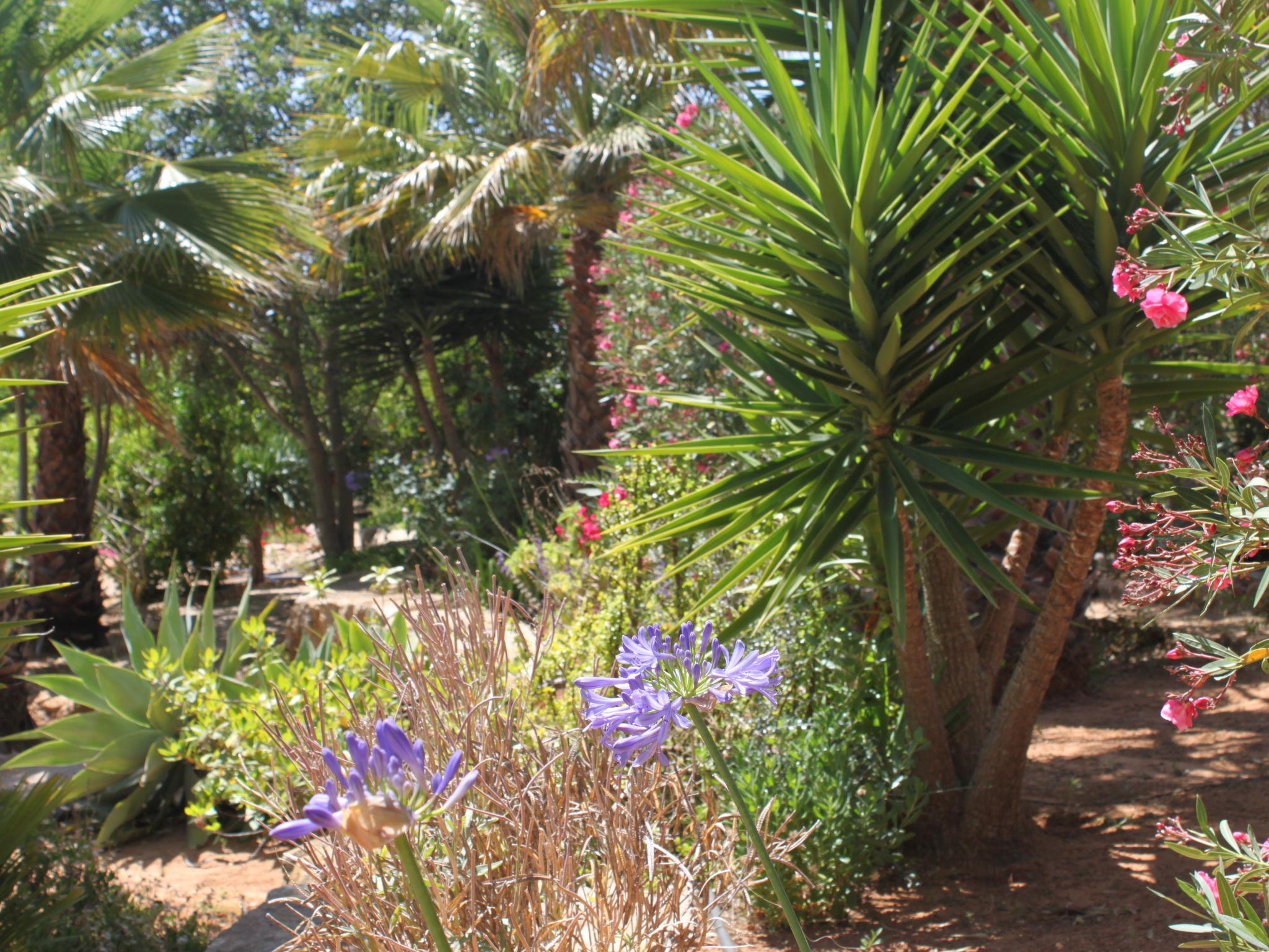 Photo 27 - Maison de 3 chambres à Lagoa avec piscine privée et jardin