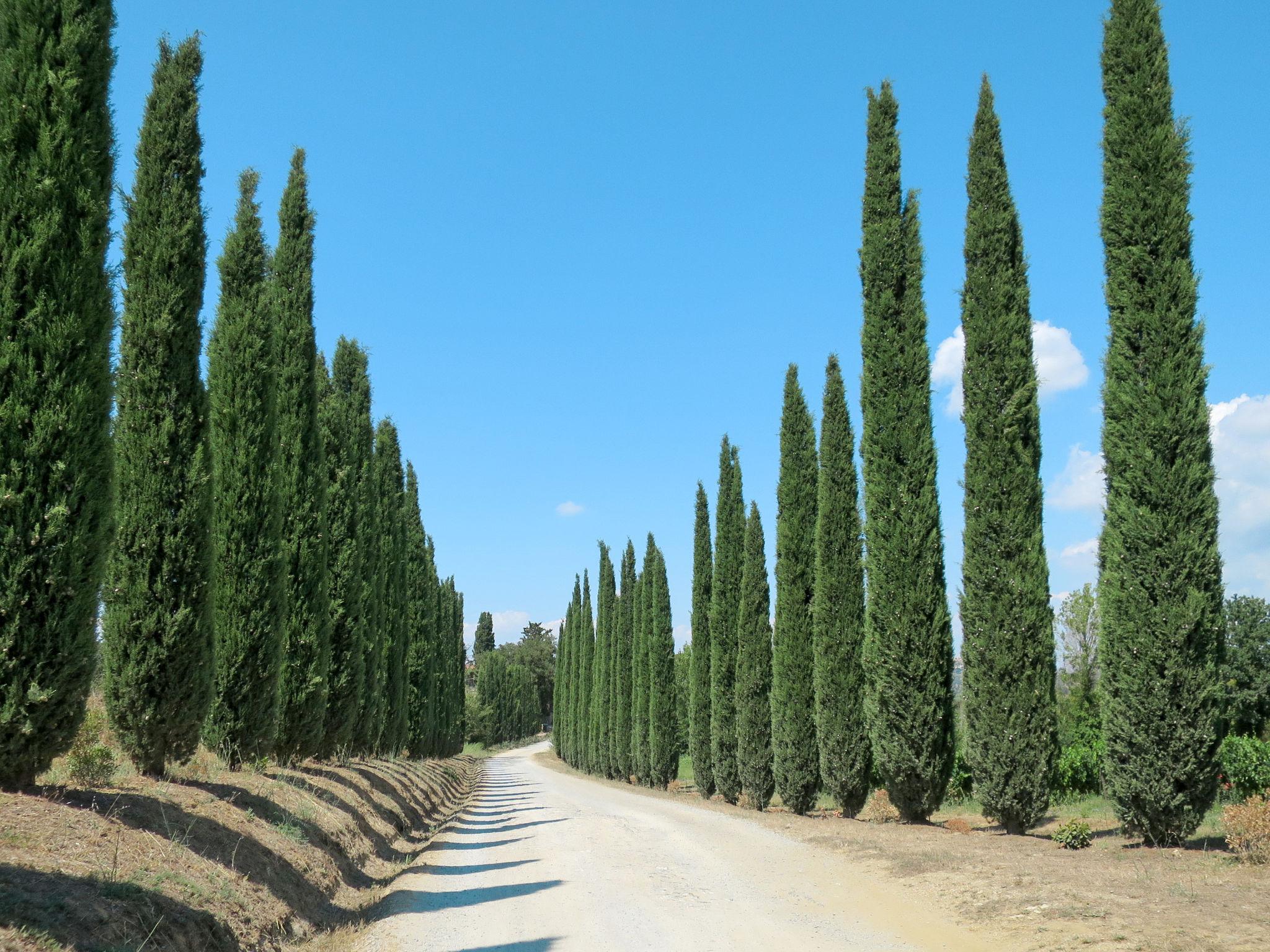 Foto 22 - Appartamento con 2 camere da letto a Magliano in Toscana con giardino