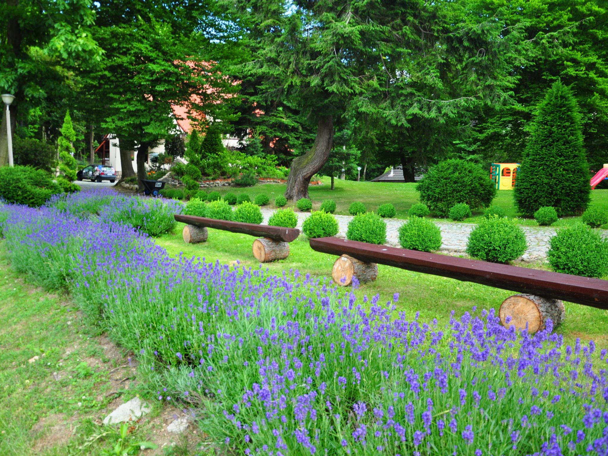 Photo 30 - Maison de 5 chambres à Podgórzyn avec piscine et jardin