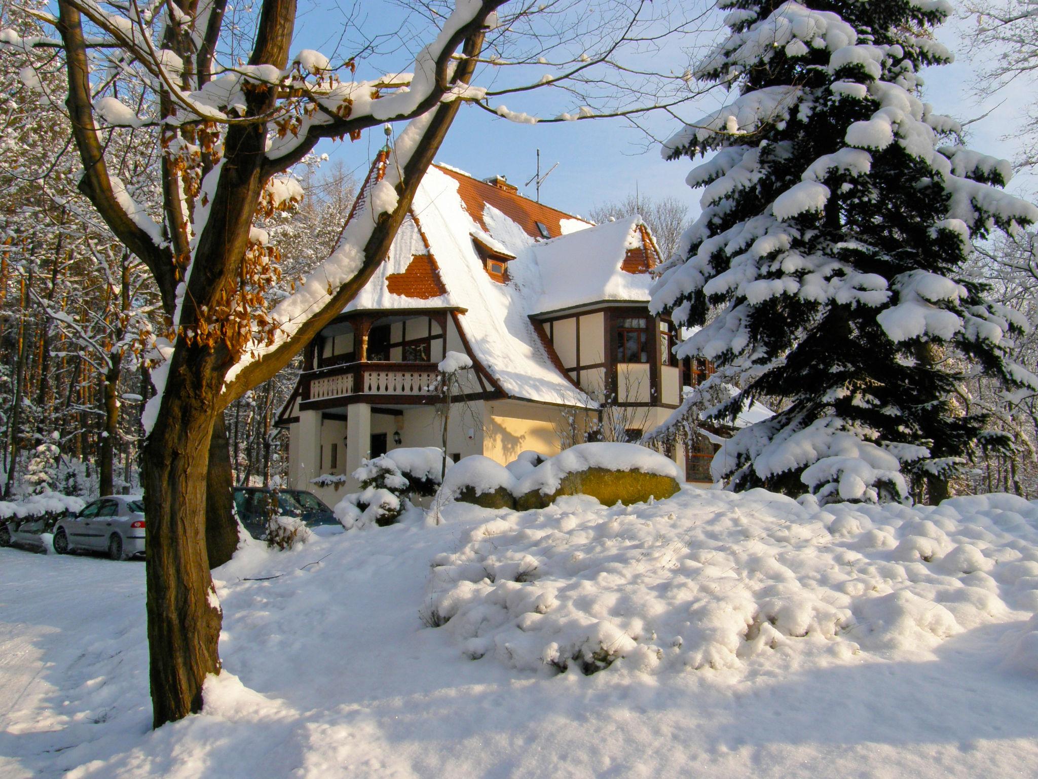 Foto 34 - Haus mit 5 Schlafzimmern in Podgórzyn mit schwimmbad und blick auf die berge