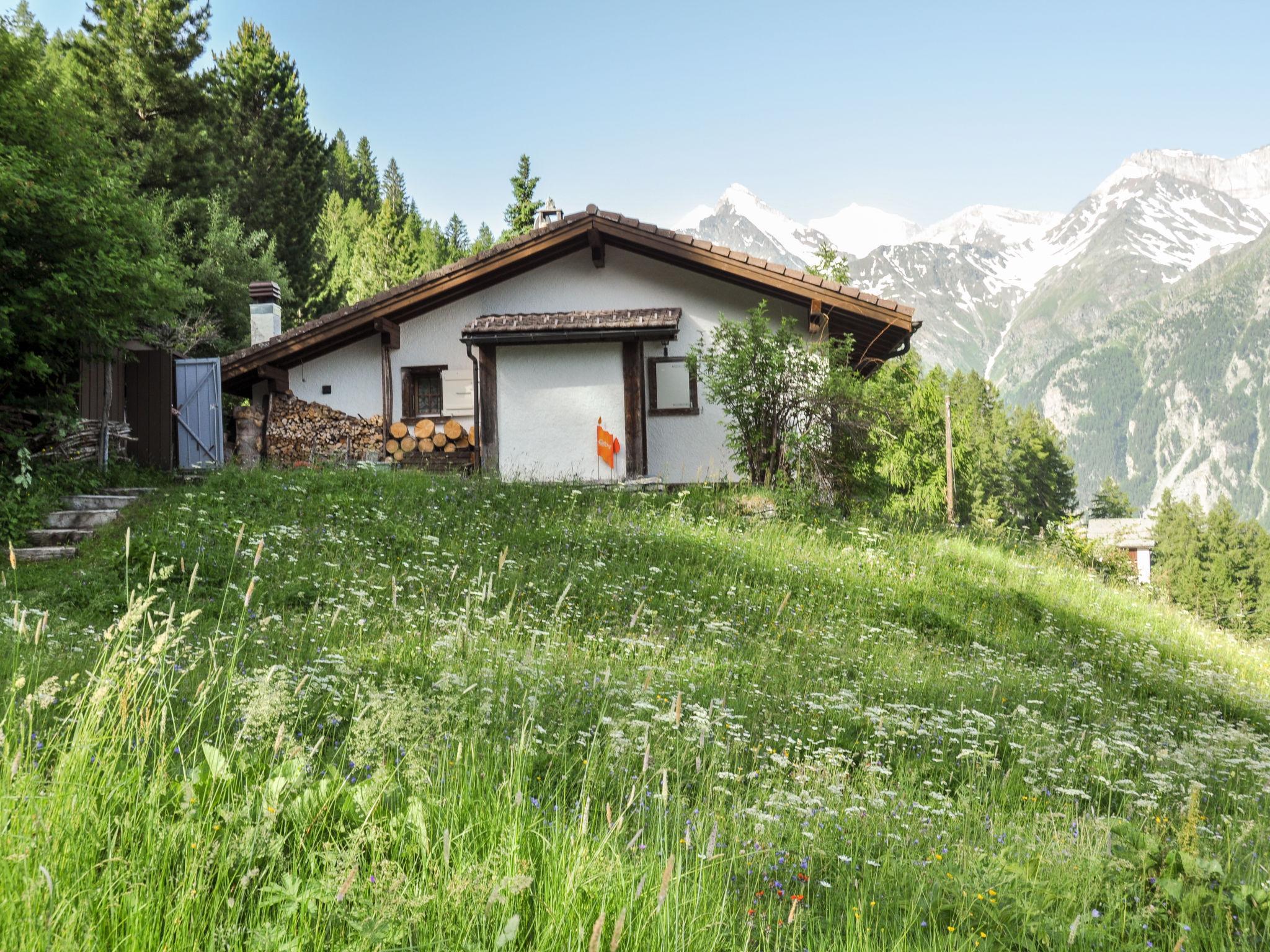 Foto 18 - Haus mit 1 Schlafzimmer in Sankt Niklaus mit garten