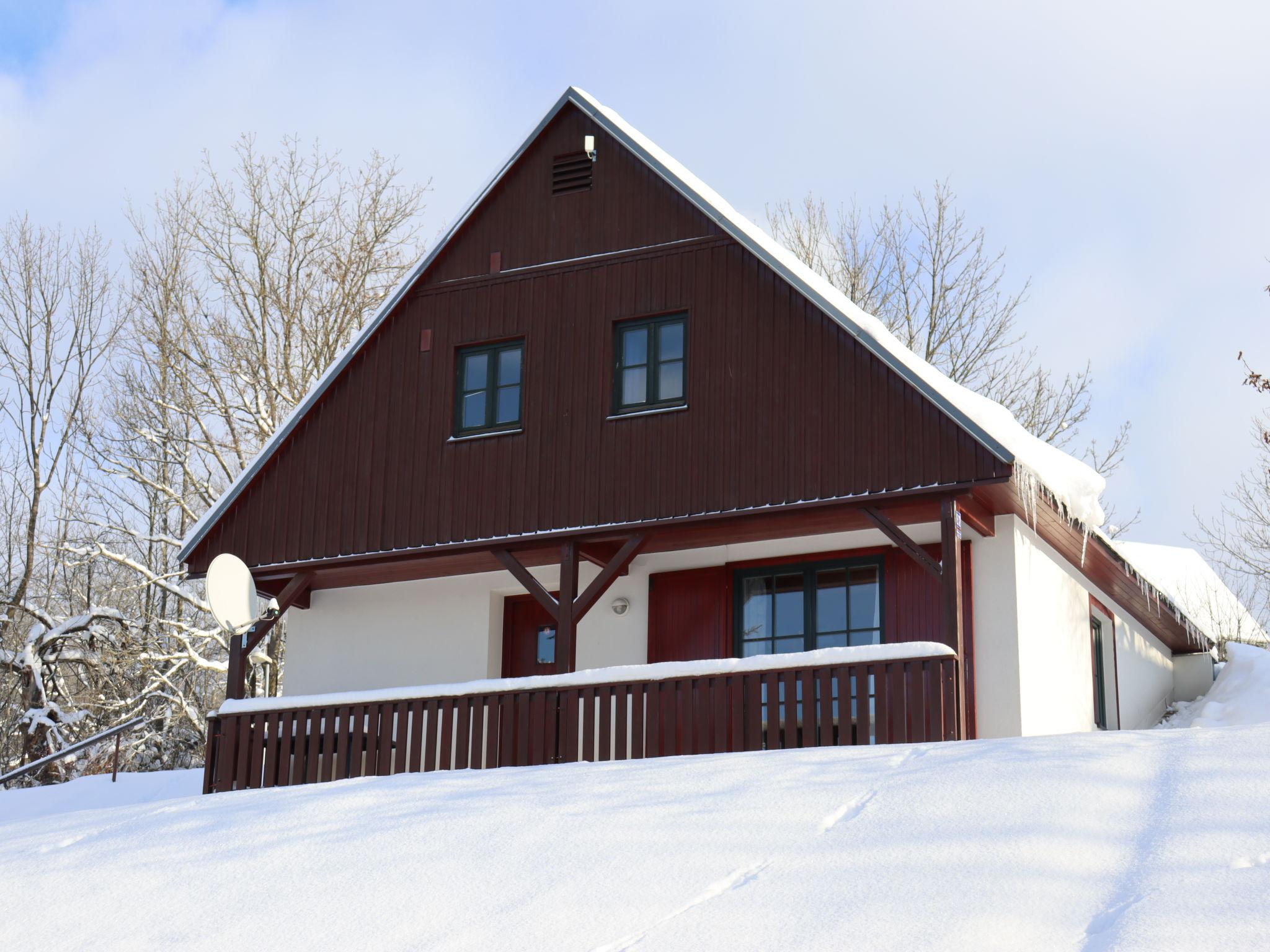 Foto 41 - Haus mit 3 Schlafzimmern in Černý Důl mit schwimmbad und garten