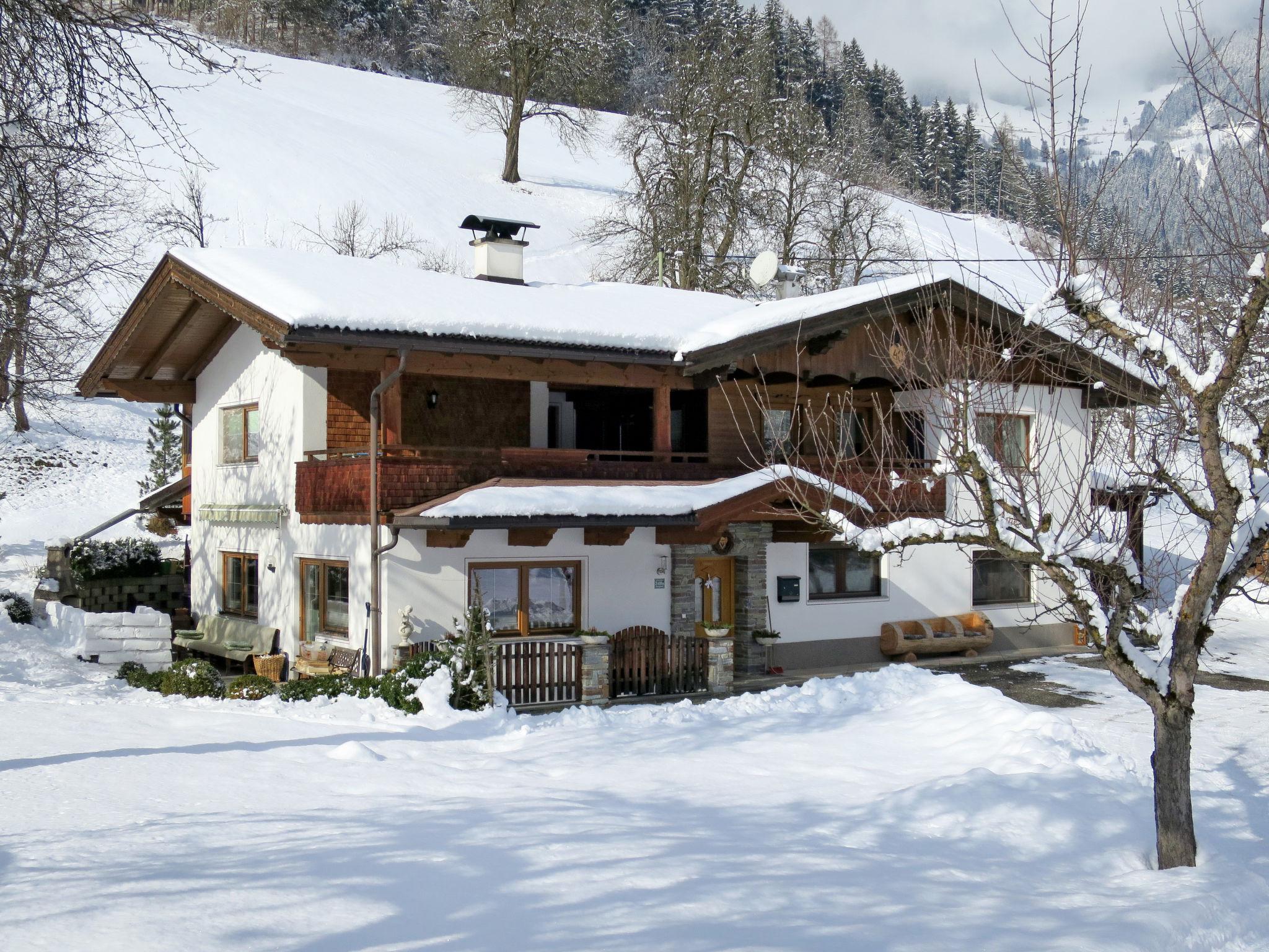 Photo 21 - Appartement de 3 chambres à Schwendau avec jardin et vues sur la montagne