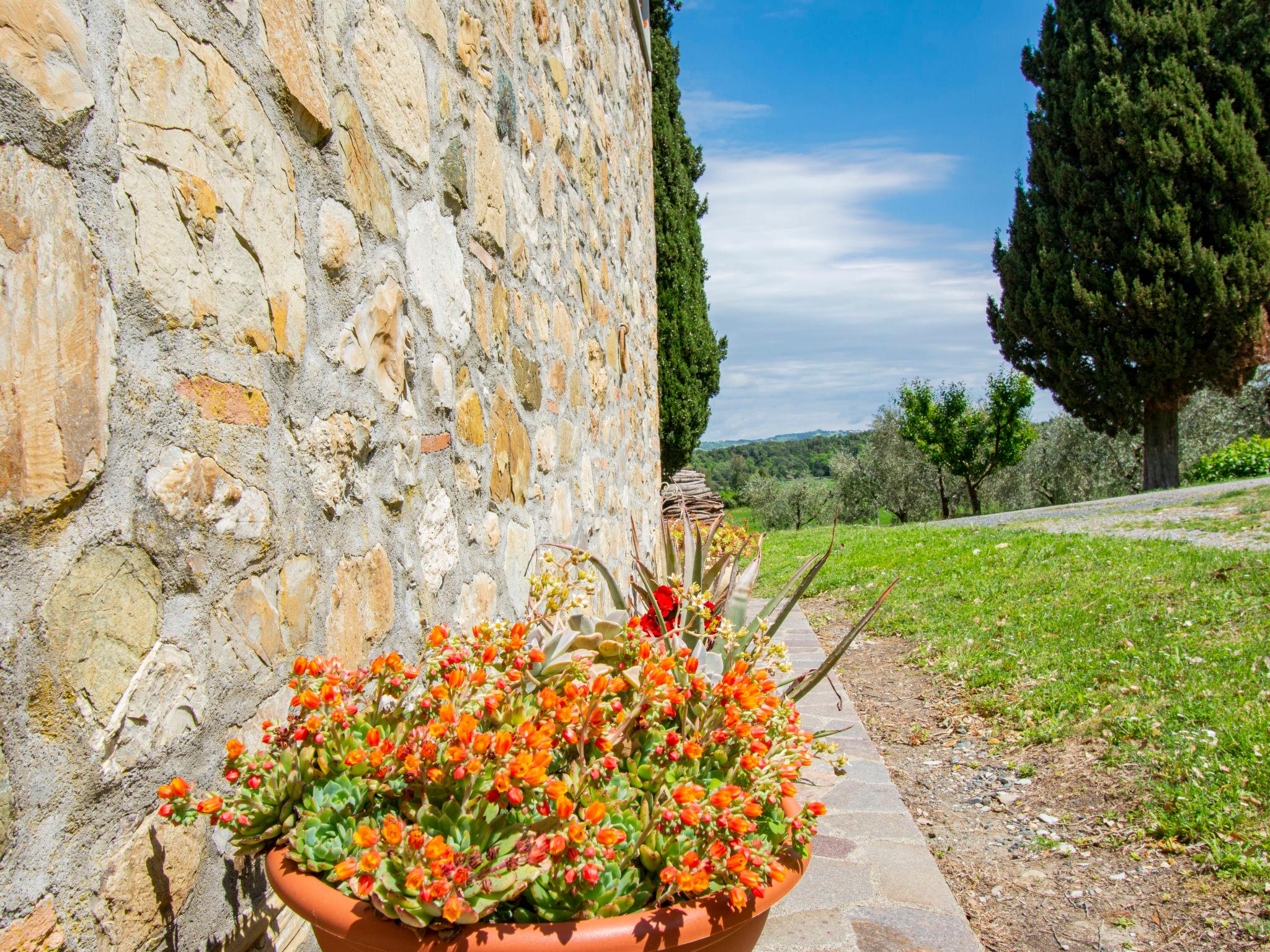 Photo 18 - Maison de 1 chambre à Pomarance avec jardin