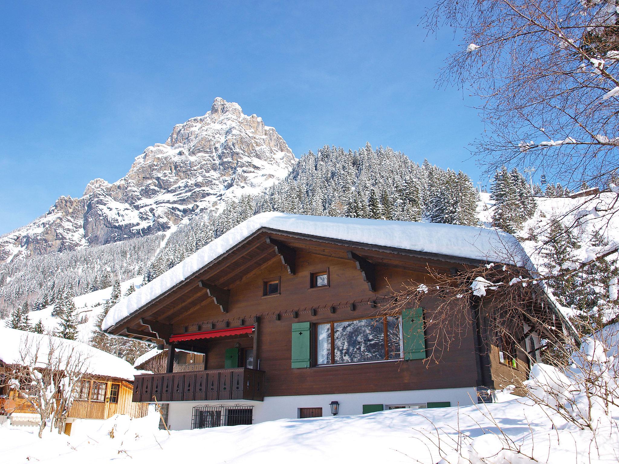 Photo 25 - Maison de 3 chambres à Kandersteg avec jardin et vues sur la montagne