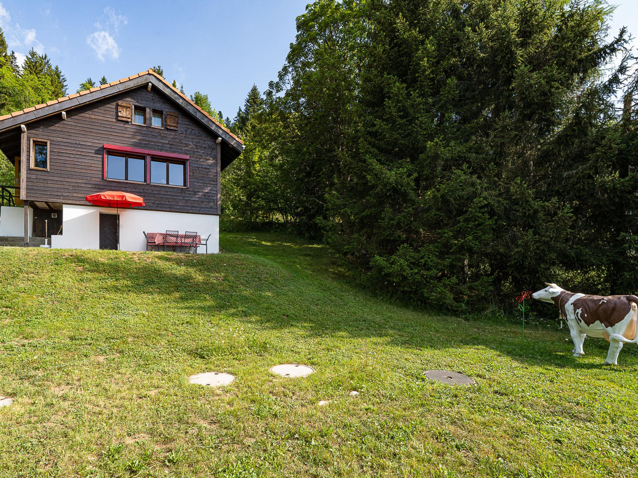 Foto 16 - Haus mit 3 Schlafzimmern in Val-de-Ruz mit garten und terrasse