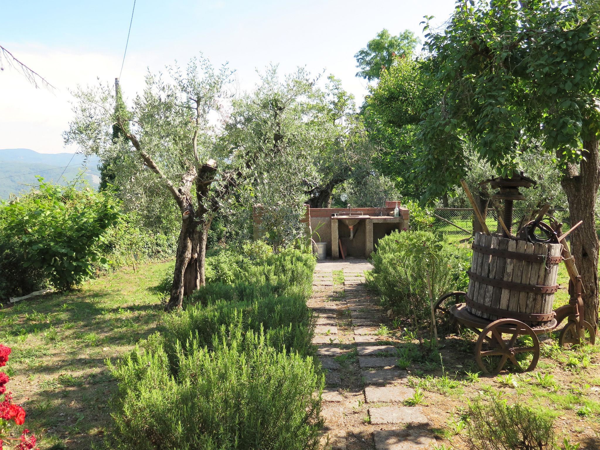 Foto 20 - Casa con 2 camere da letto a Montescudaio con giardino e terrazza