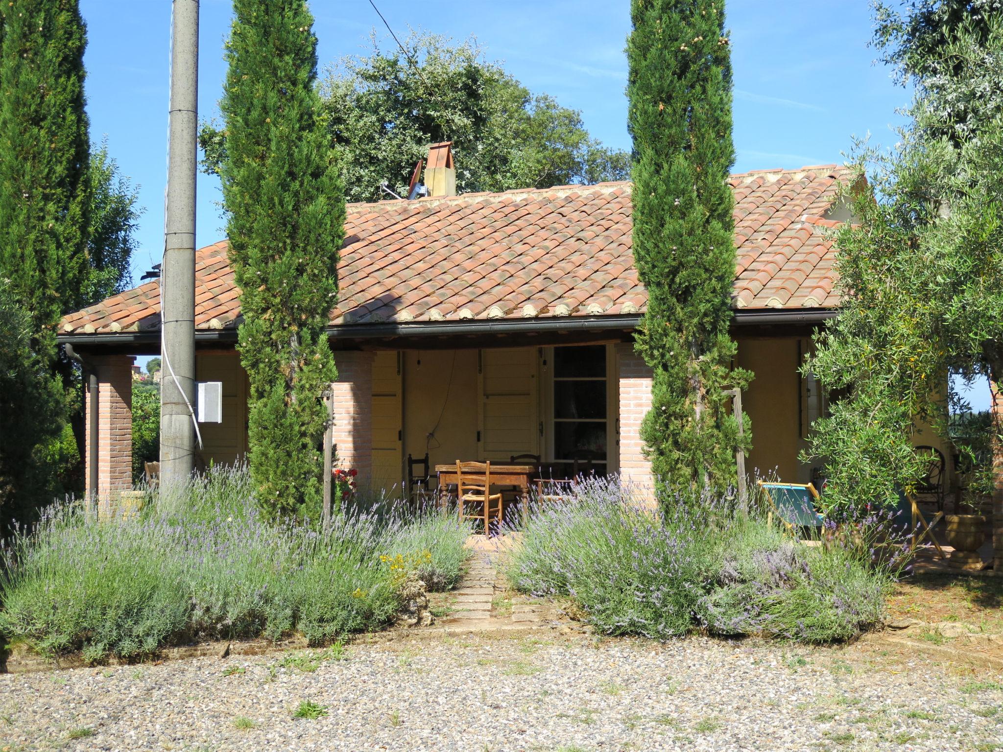 Foto 21 - Casa de 2 quartos em Montescudaio com jardim e terraço