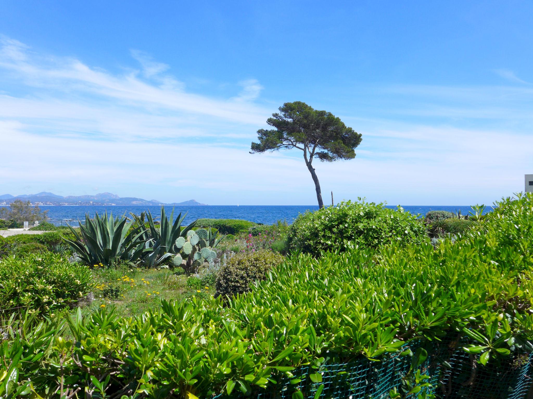 Foto 14 - Apartamento en Fréjus con jardín y vistas al mar