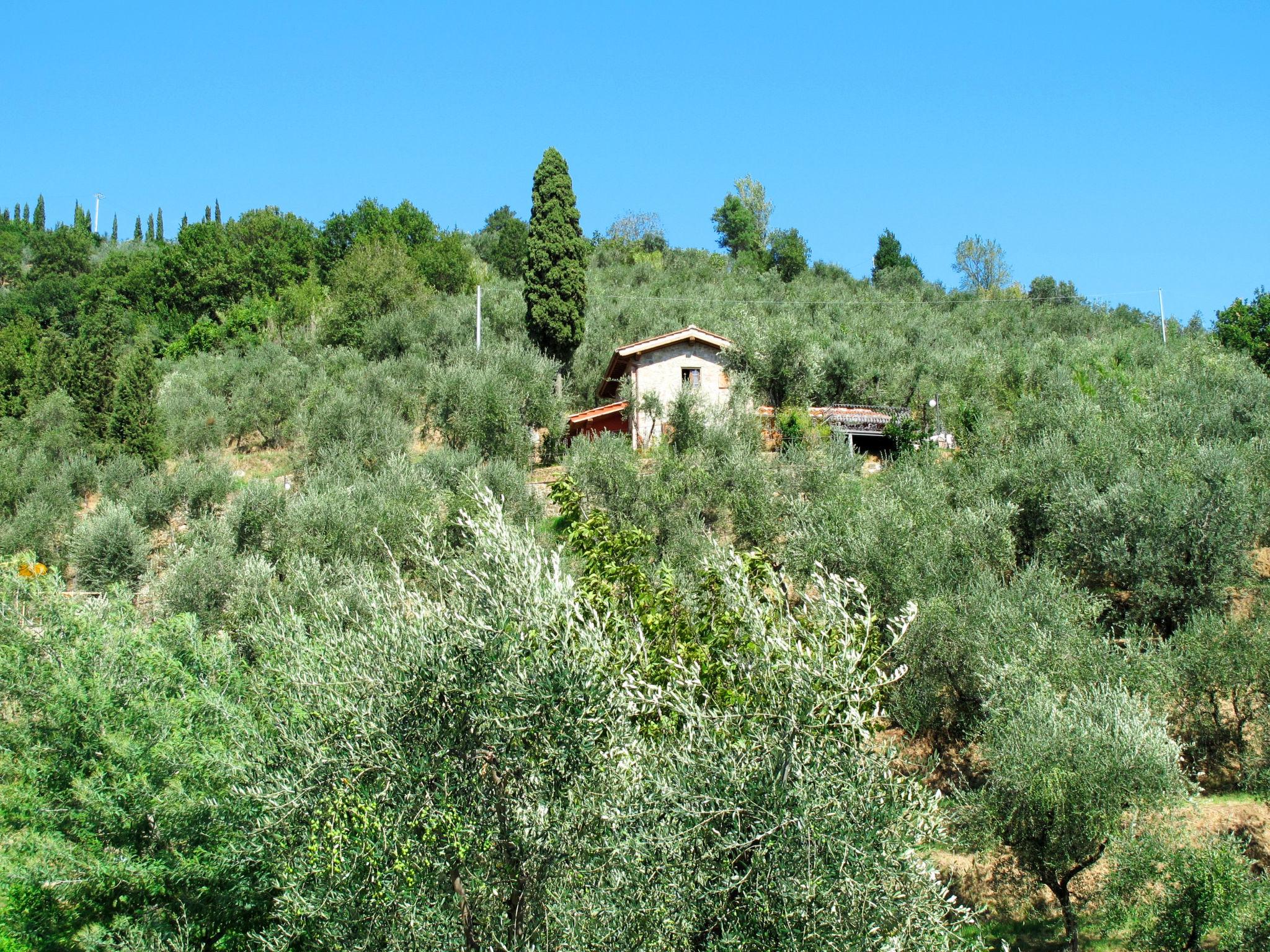 Foto 30 - Casa con 2 camere da letto a Pieve a Nievole con piscina privata e giardino