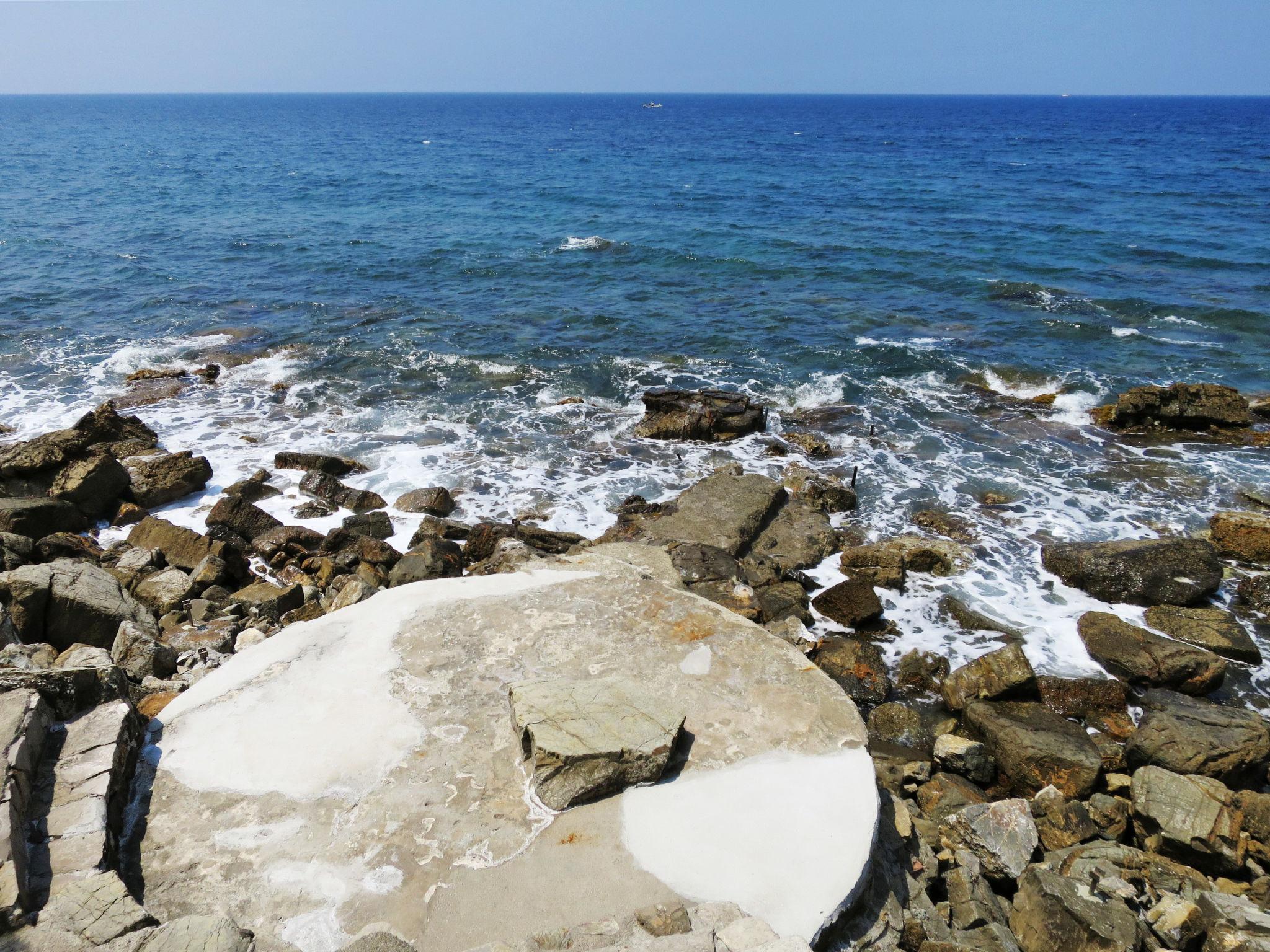 Foto 40 - Casa de 4 quartos em Rosignano Marittimo com jardim e vistas do mar