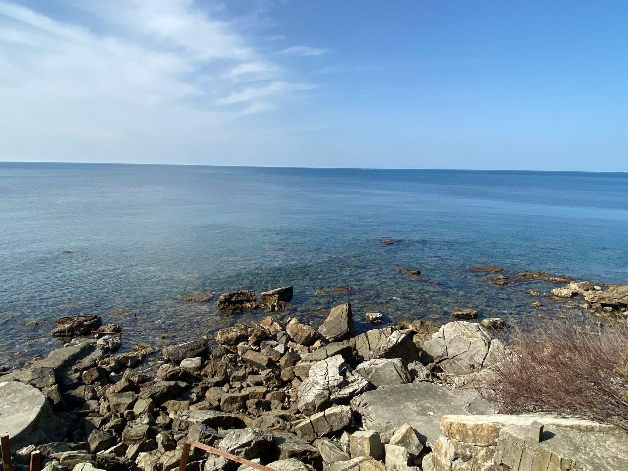 Photo 42 - Maison de 4 chambres à Rosignano Marittimo avec jardin et vues à la mer