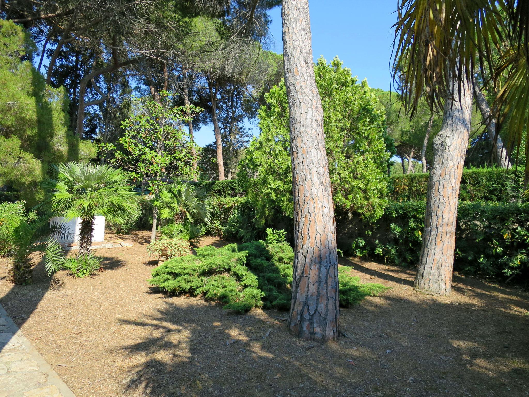 Photo 39 - Maison de 4 chambres à Rosignano Marittimo avec jardin et vues à la mer