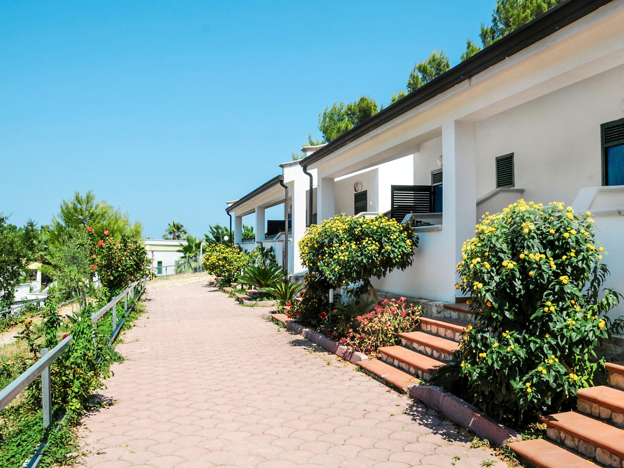 Photo 2 - Maison de 1 chambre à Vieste avec piscine et vues à la mer