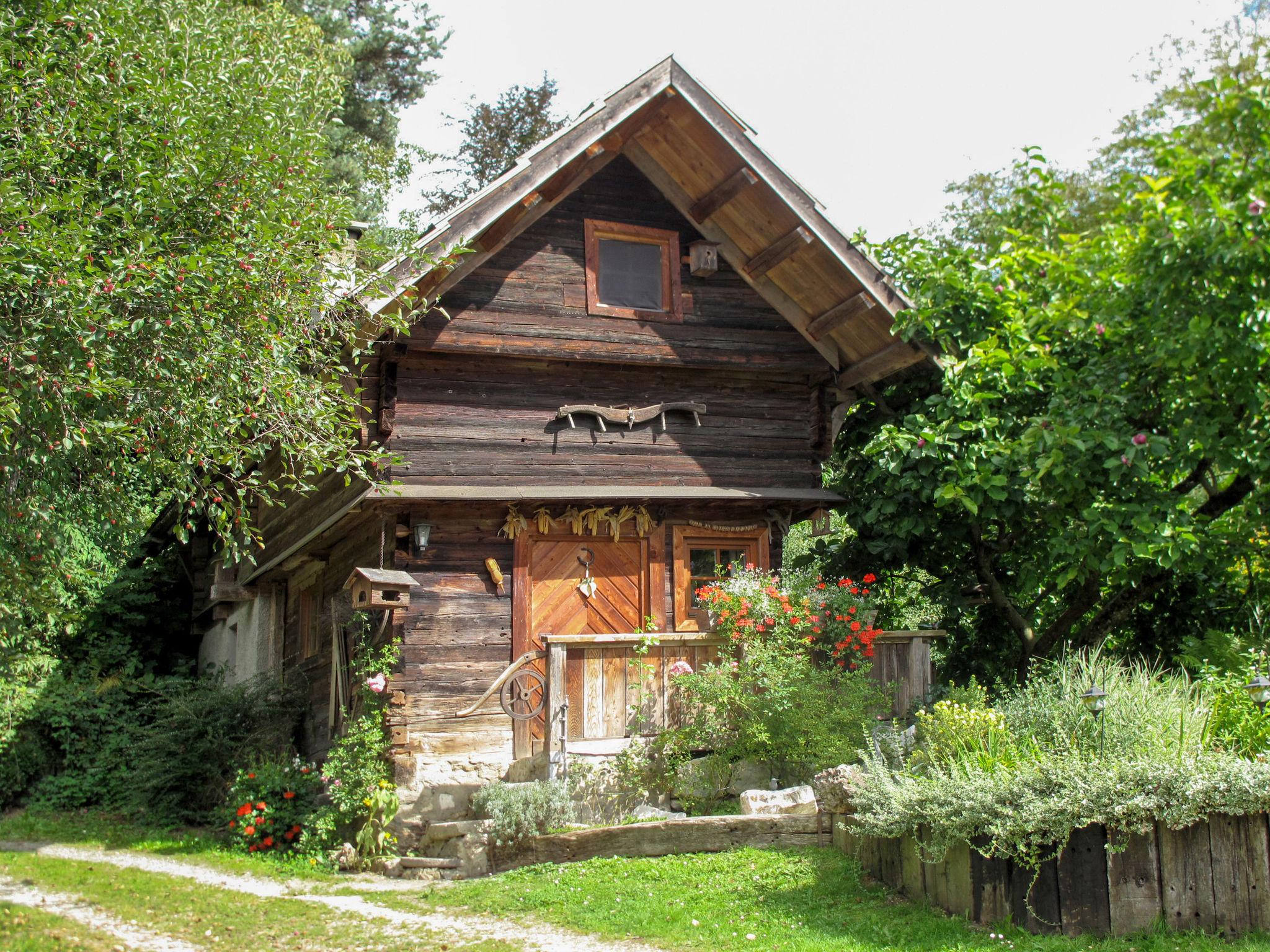 Photo 17 - Maison de 1 chambre à Treffen am Ossiacher See avec jardin et vues sur la montagne