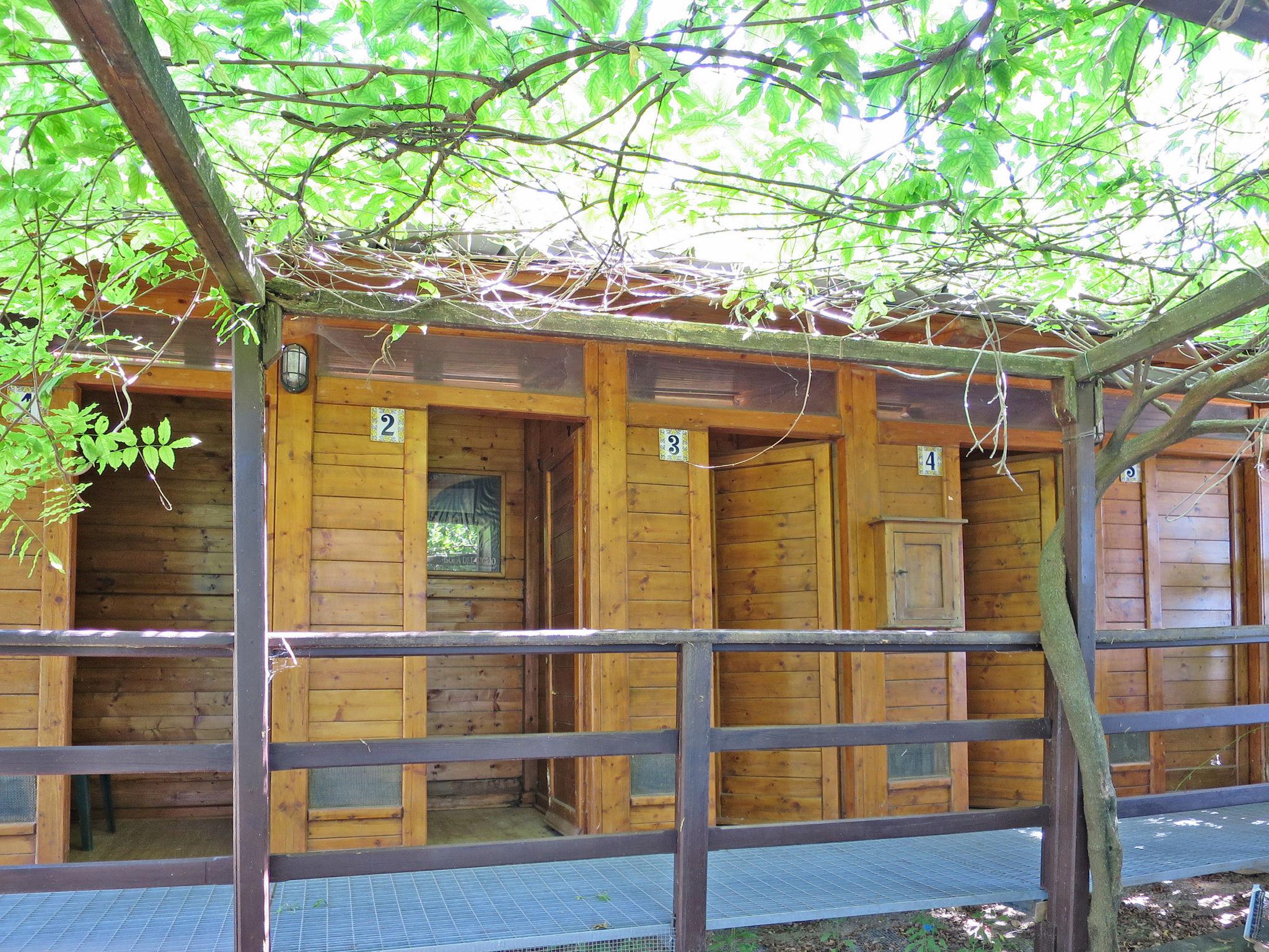 Foto 17 - Casa de 2 habitaciones en Roccastrada con piscina y jardín