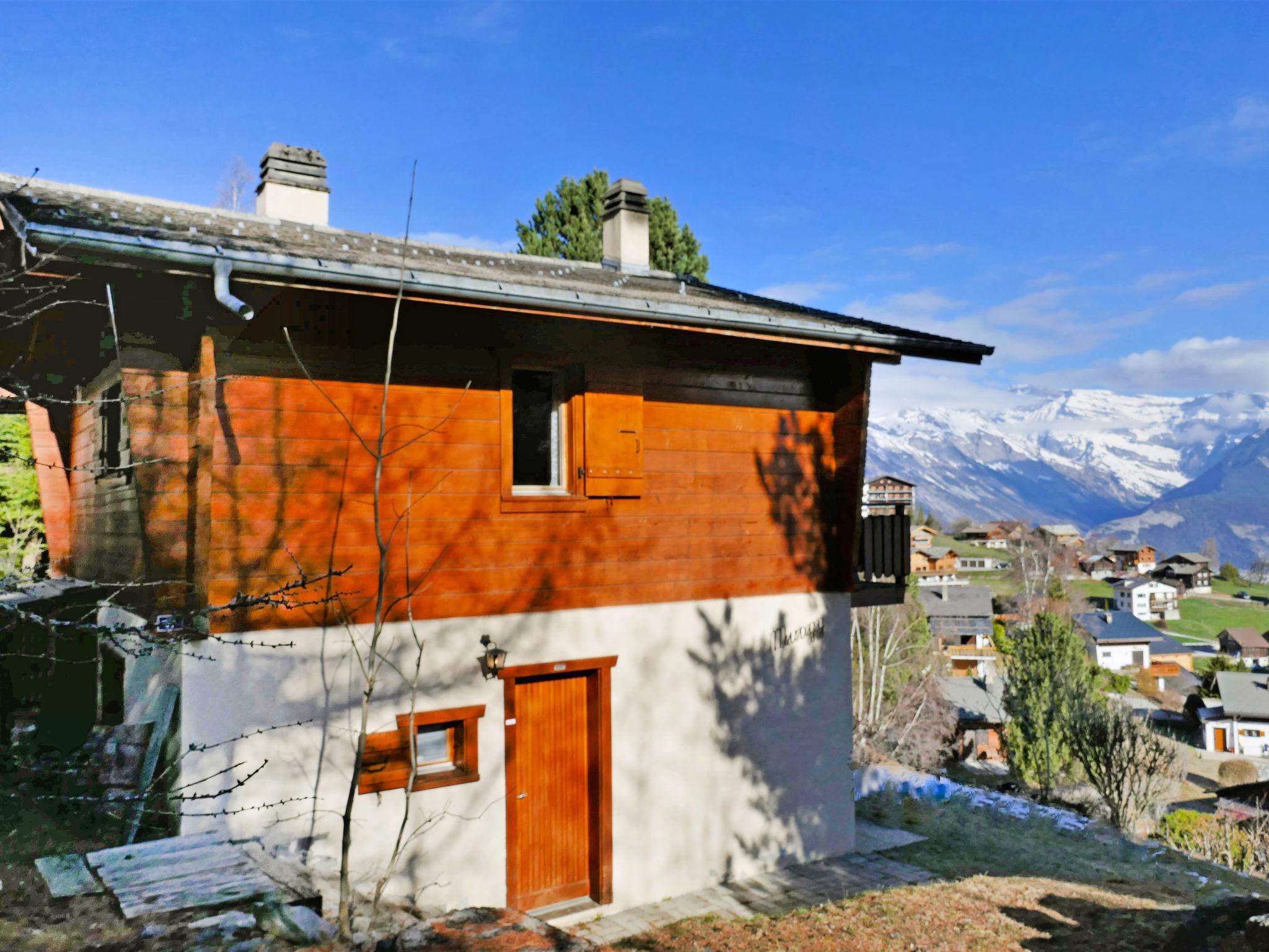 Foto 2 - Casa de 3 habitaciones en Nendaz con jardín y vistas a la montaña