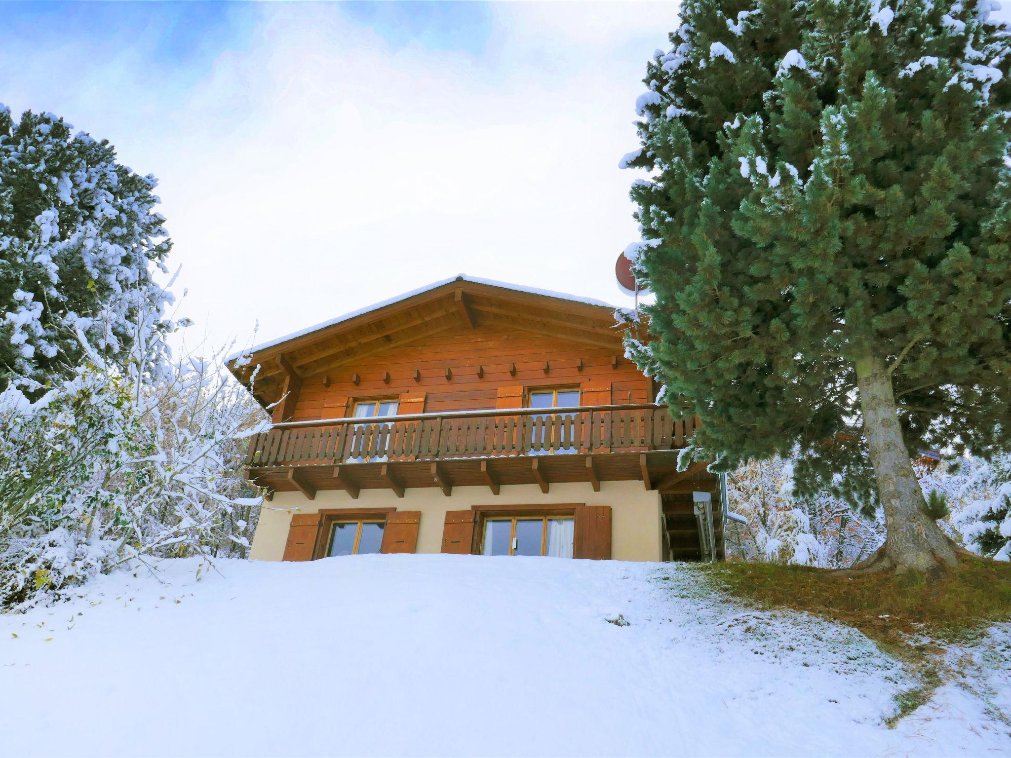 Photo 27 - 3 bedroom House in Nendaz with garden and terrace