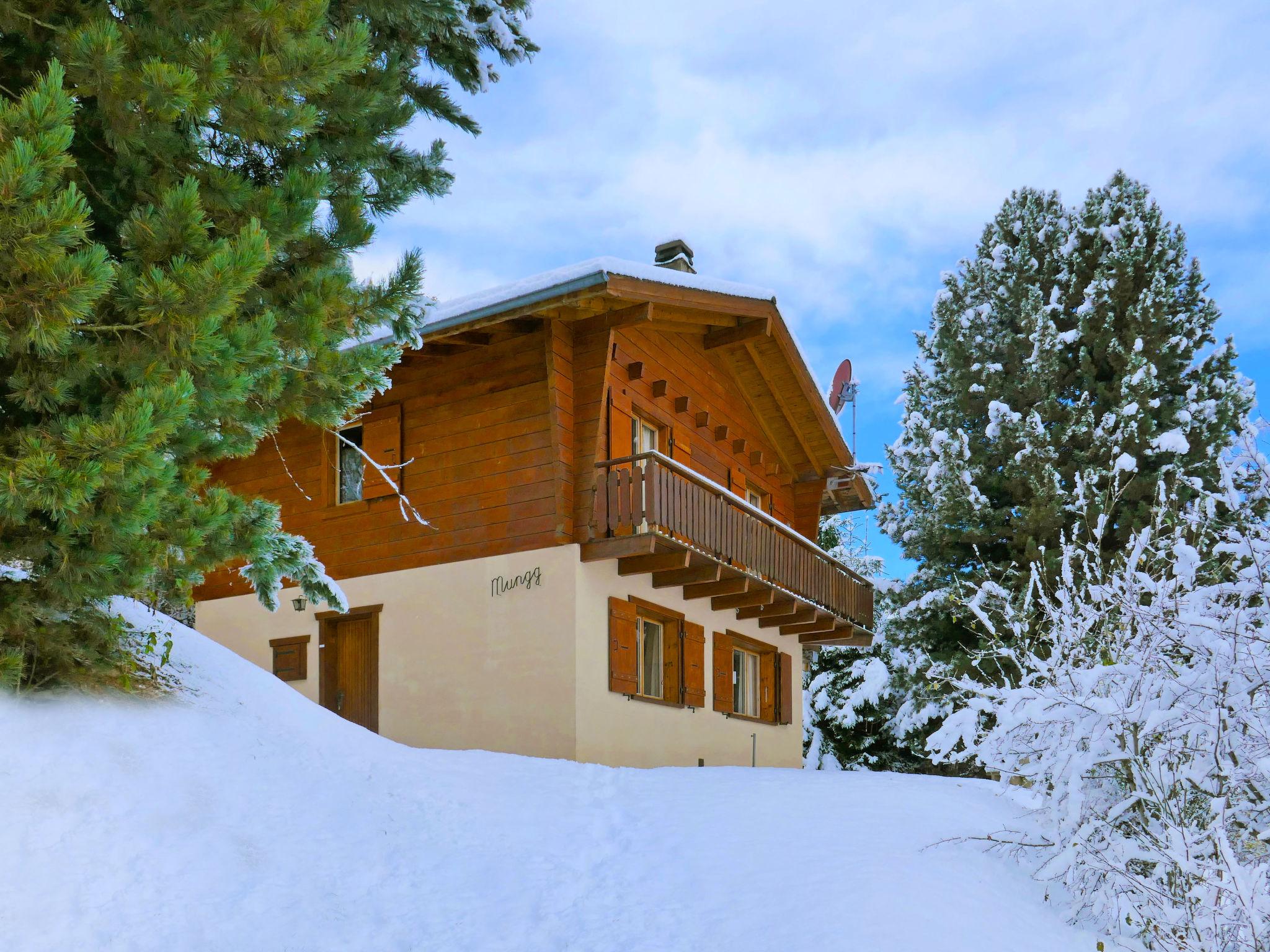 Foto 16 - Casa de 3 quartos em Nendaz com jardim e vista para a montanha