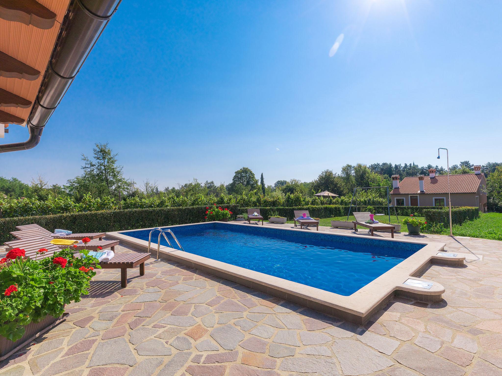 Foto 2 - Casa con 3 camere da letto a Žminj con piscina privata e vista mare