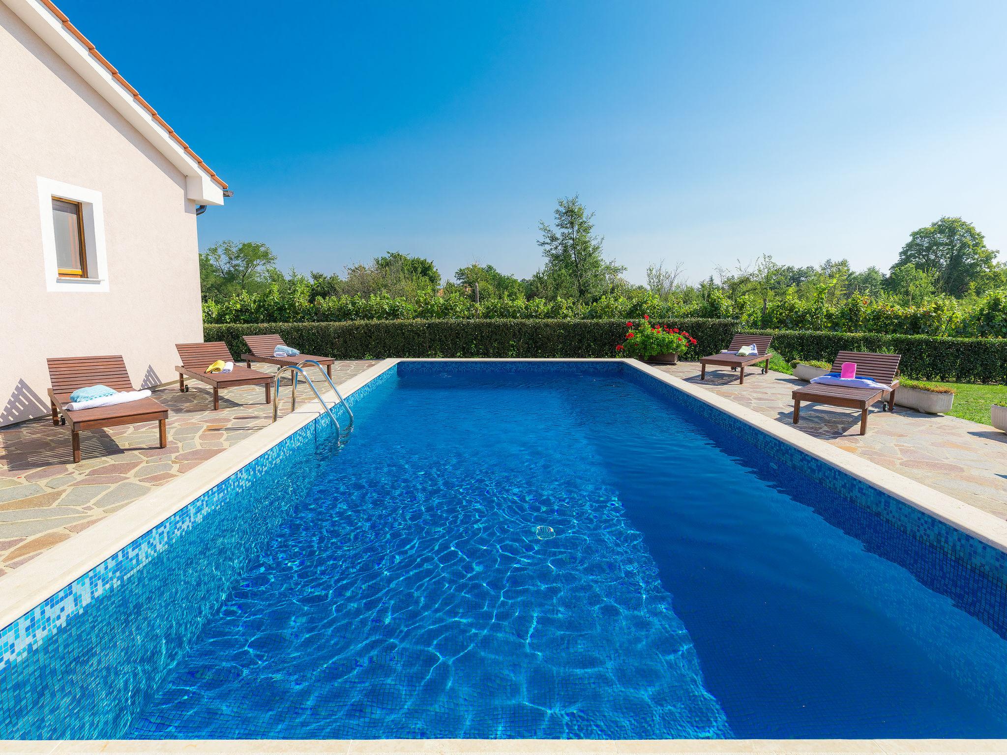 Foto 8 - Casa de 3 habitaciones en Žminj con piscina privada y vistas al mar