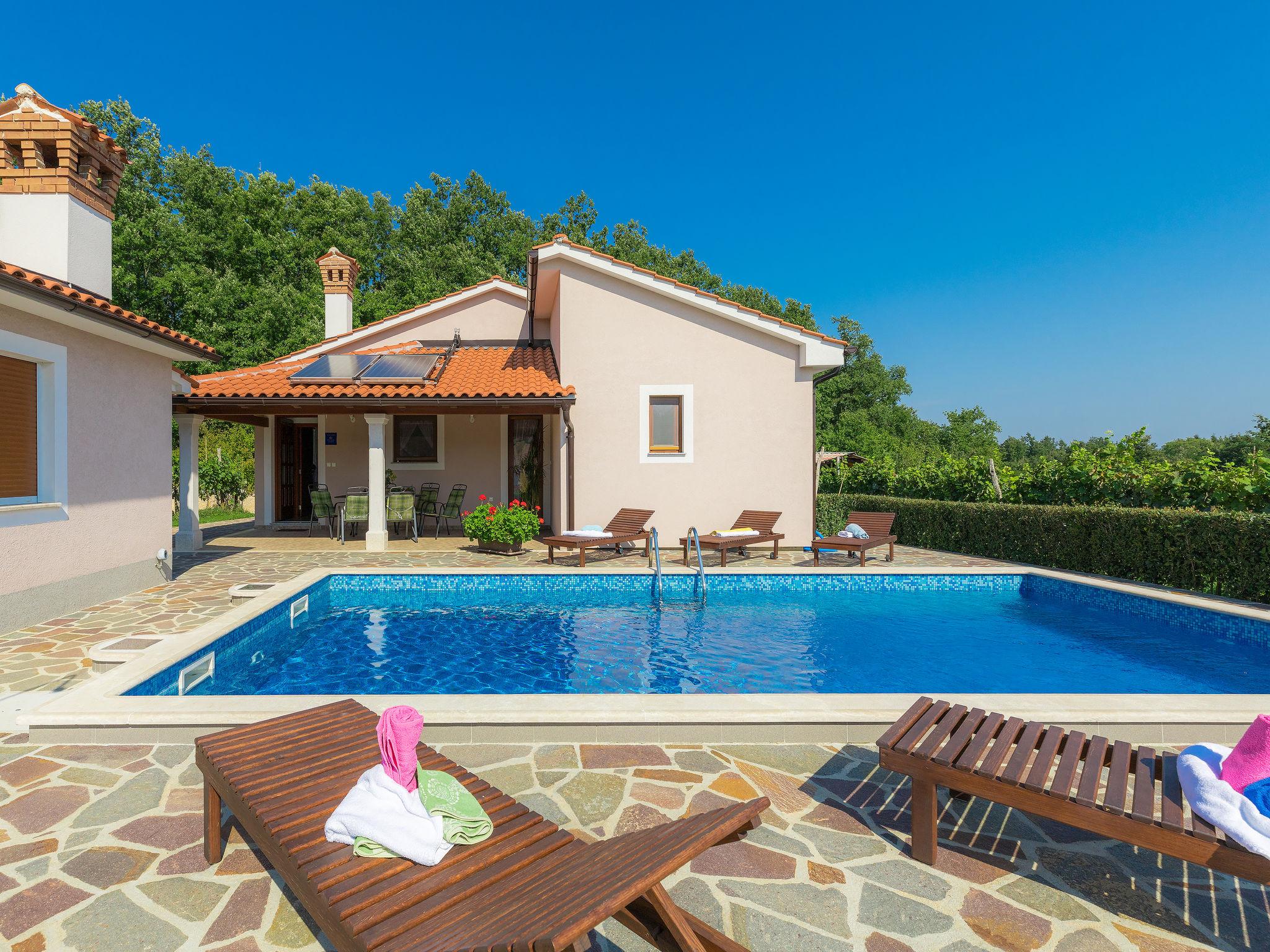 Photo 28 - 3 bedroom House in Žminj with private pool and sea view