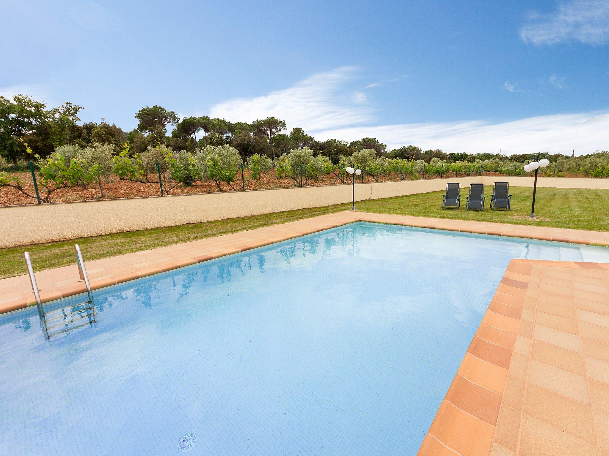 Foto 16 - Casa con 4 camere da letto a Forallac con piscina privata e giardino