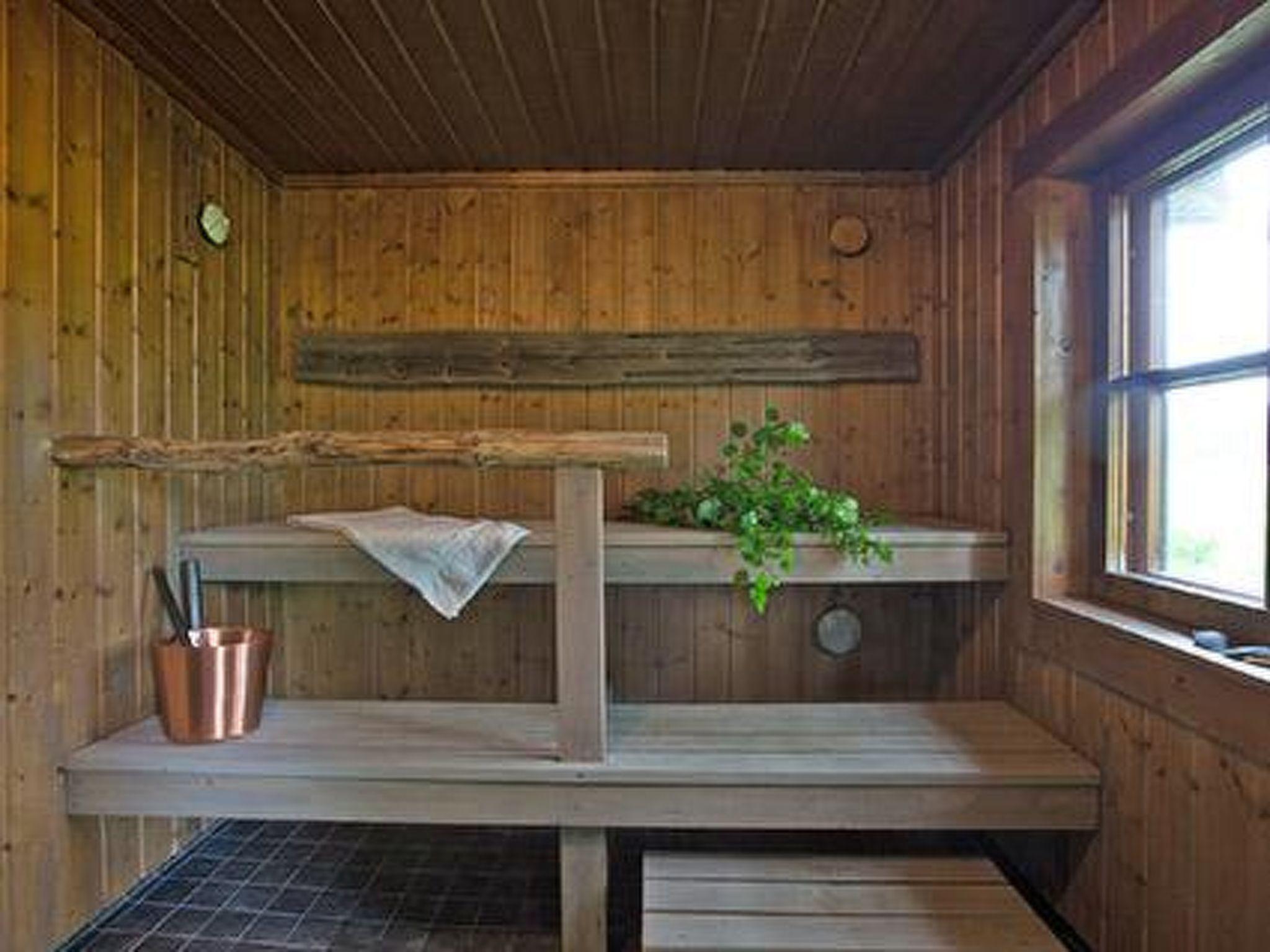 Foto 22 - Casa con 1 camera da letto a Asikkala con sauna