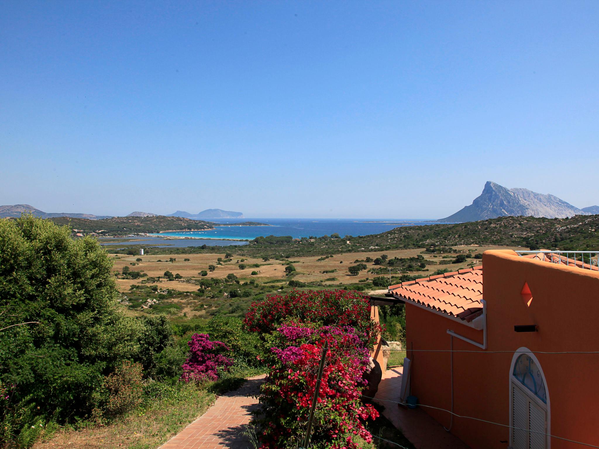 Foto 18 - Casa con 2 camere da letto a San Teodoro con piscina e vista mare