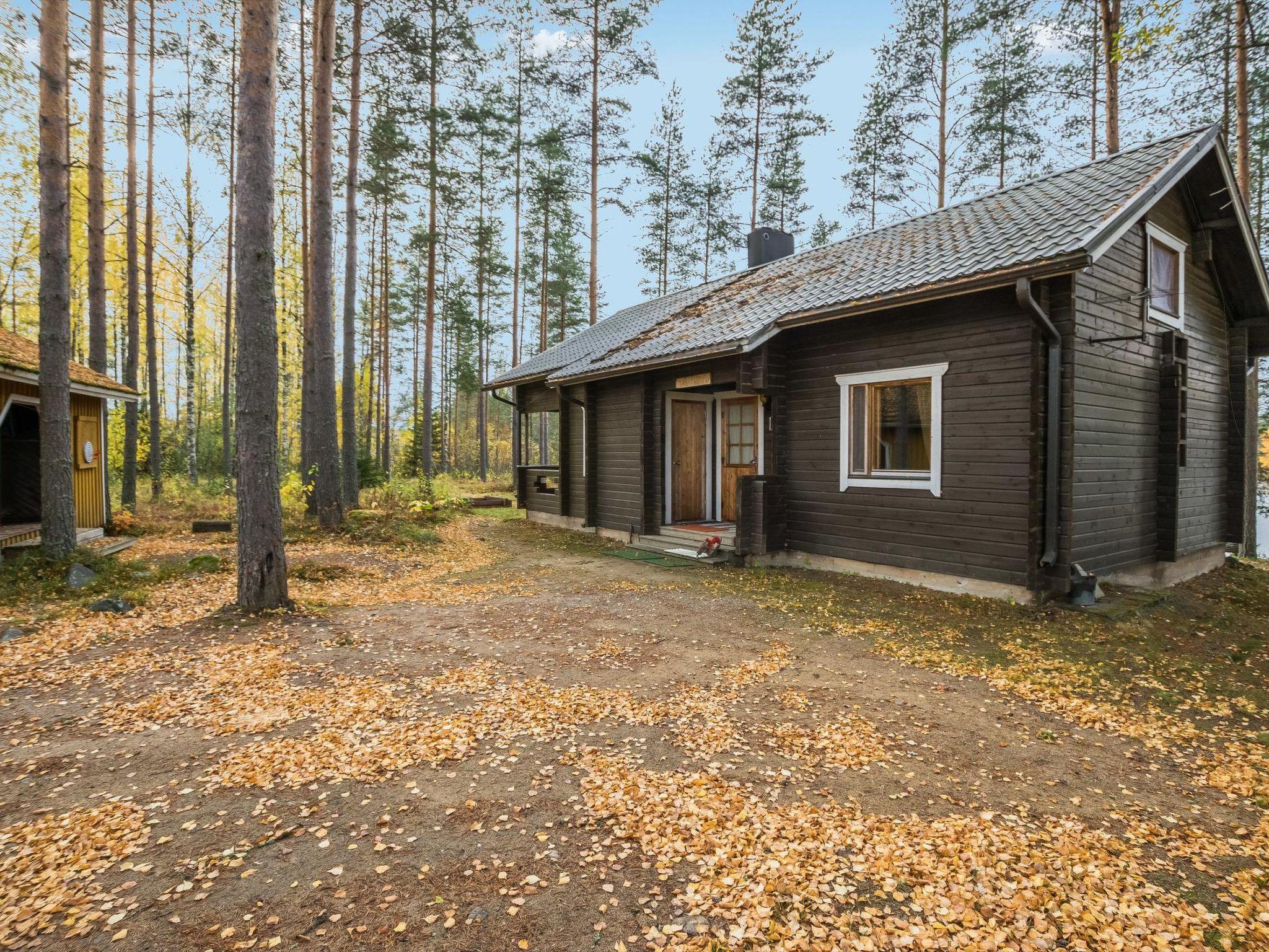 Foto 15 - Casa de 2 habitaciones en Petäjävesi con sauna