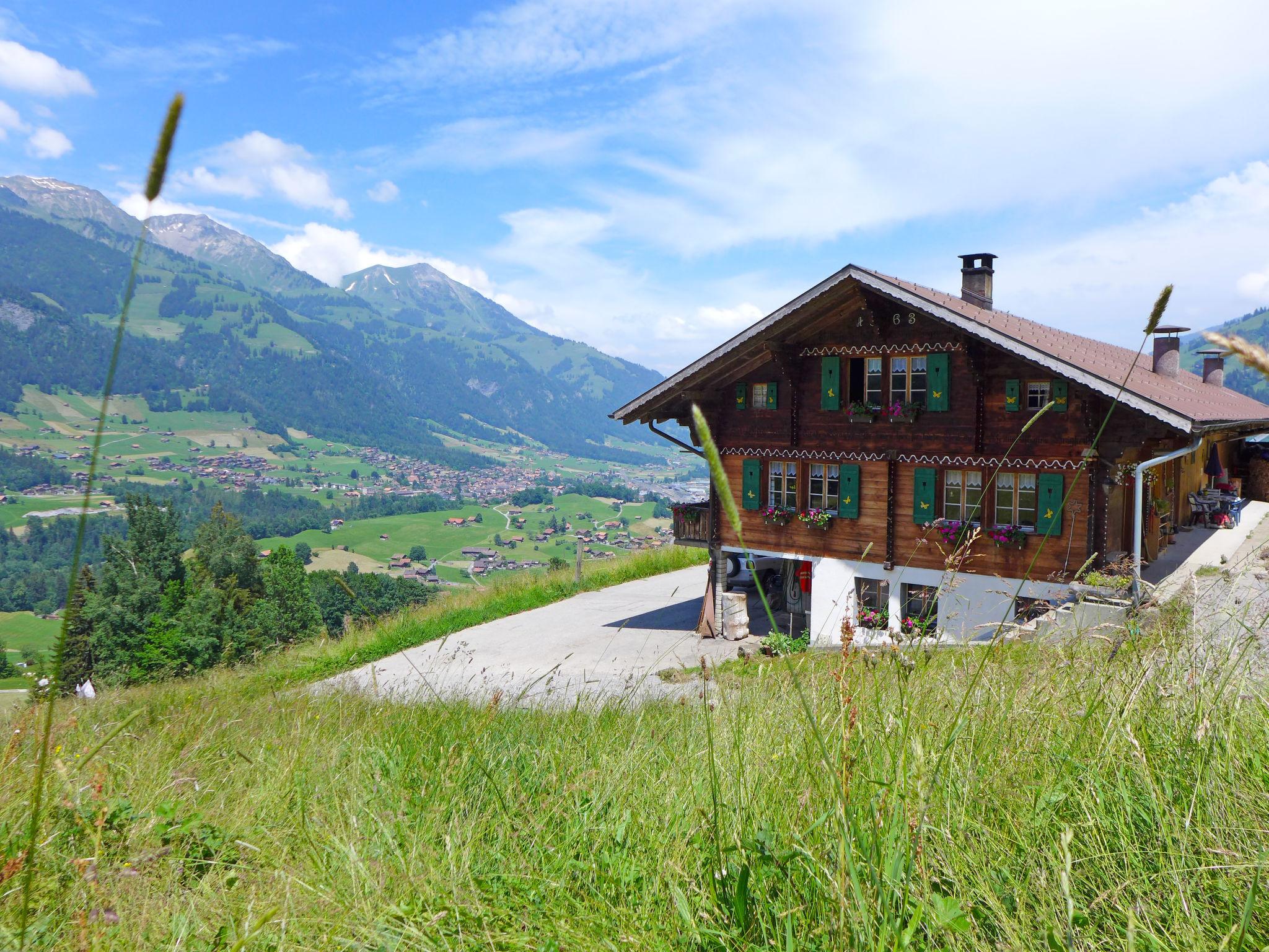 Photo 15 - 3 bedroom Apartment in Frutigen with garden and mountain view