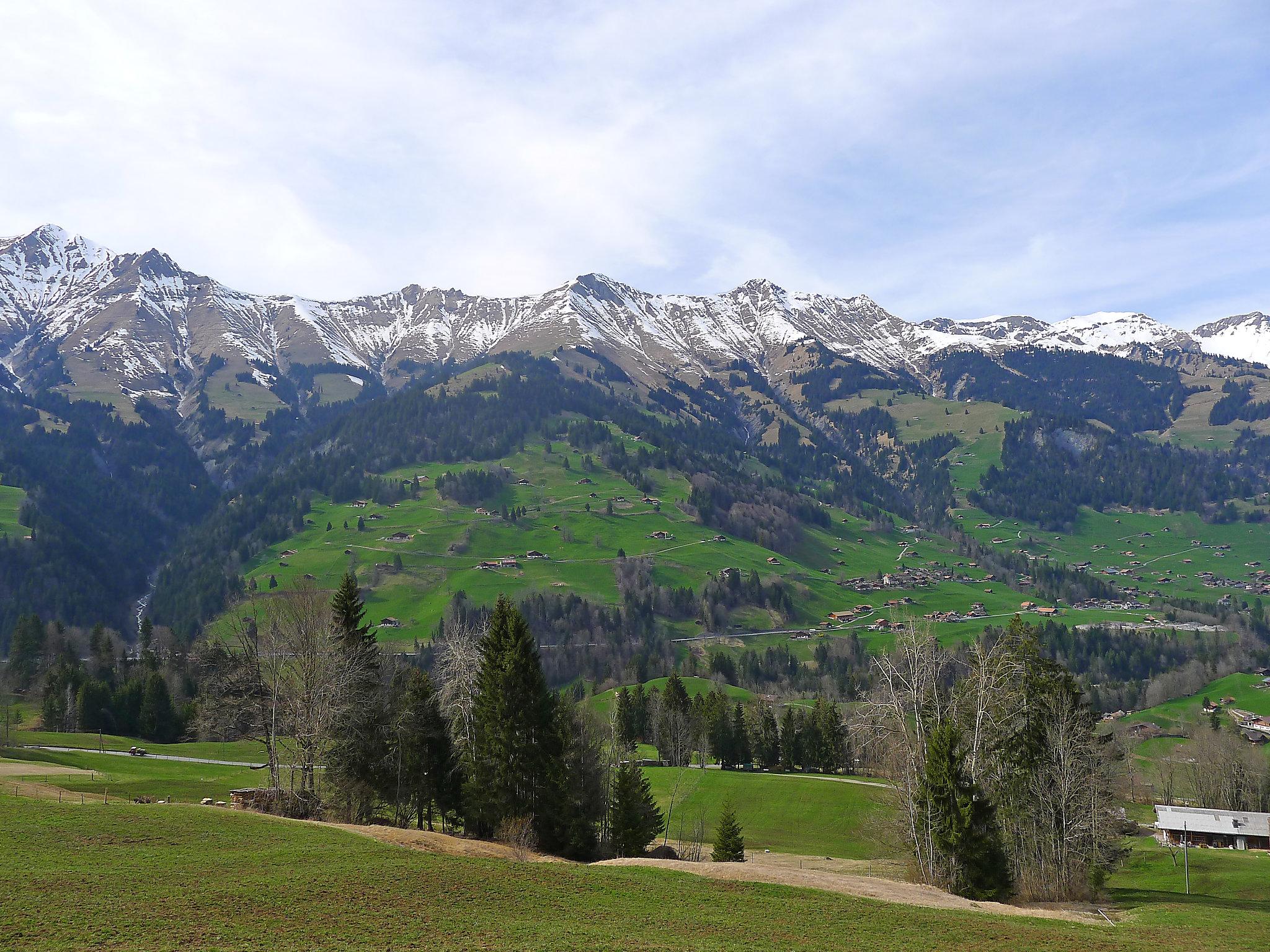 Photo 16 - 3 bedroom Apartment in Frutigen with garden