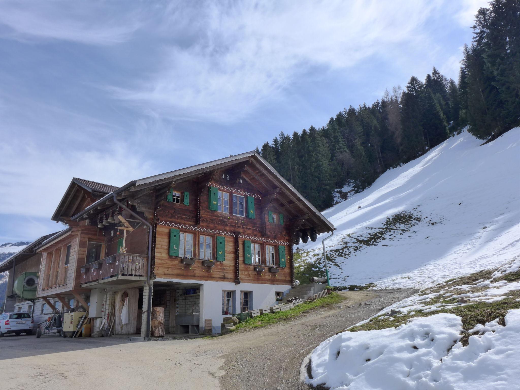 Photo 22 - 3 bedroom Apartment in Frutigen with garden and mountain view