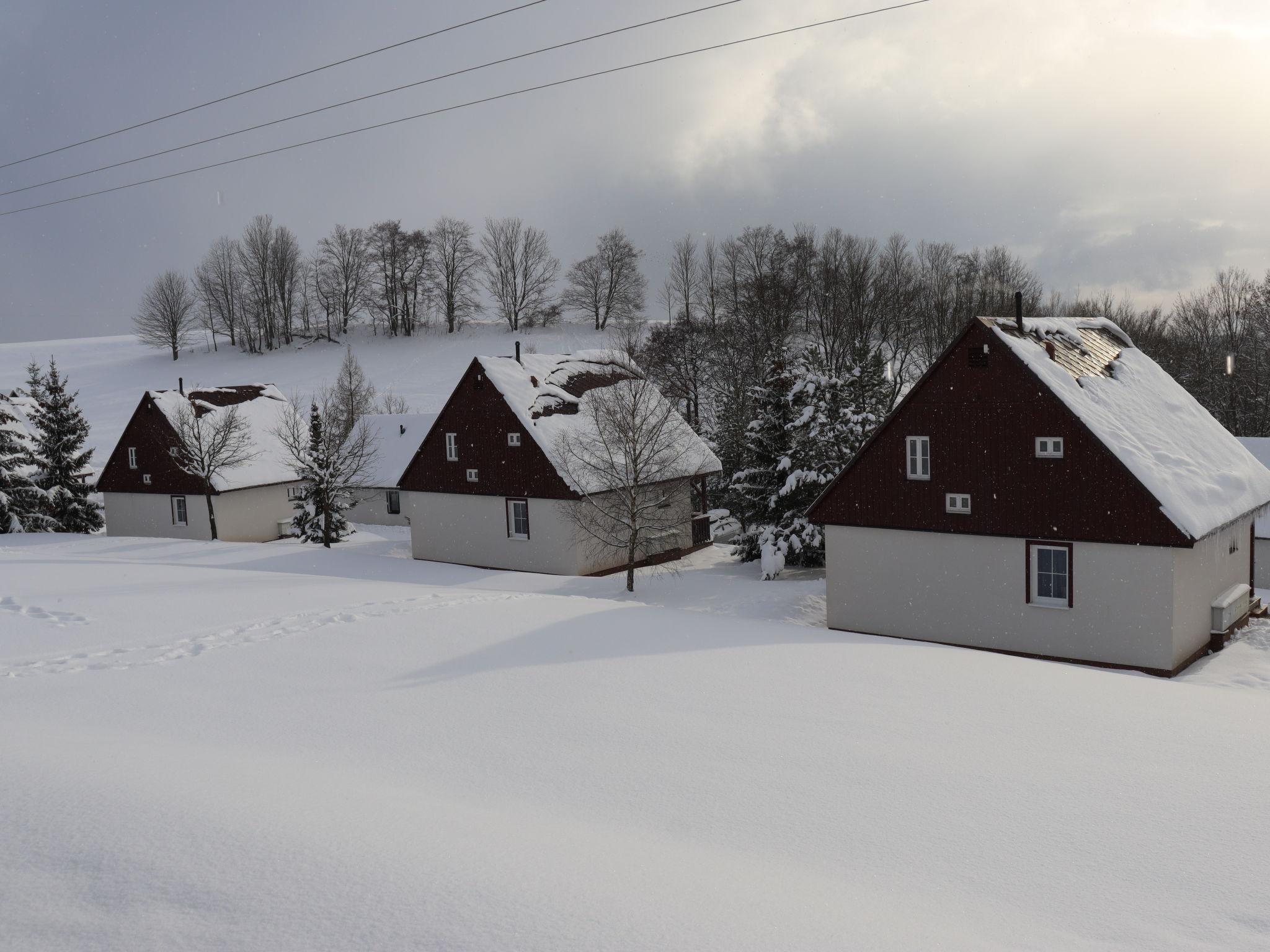 Foto 49 - Casa de 3 habitaciones en Černý Důl con piscina y vistas a la montaña