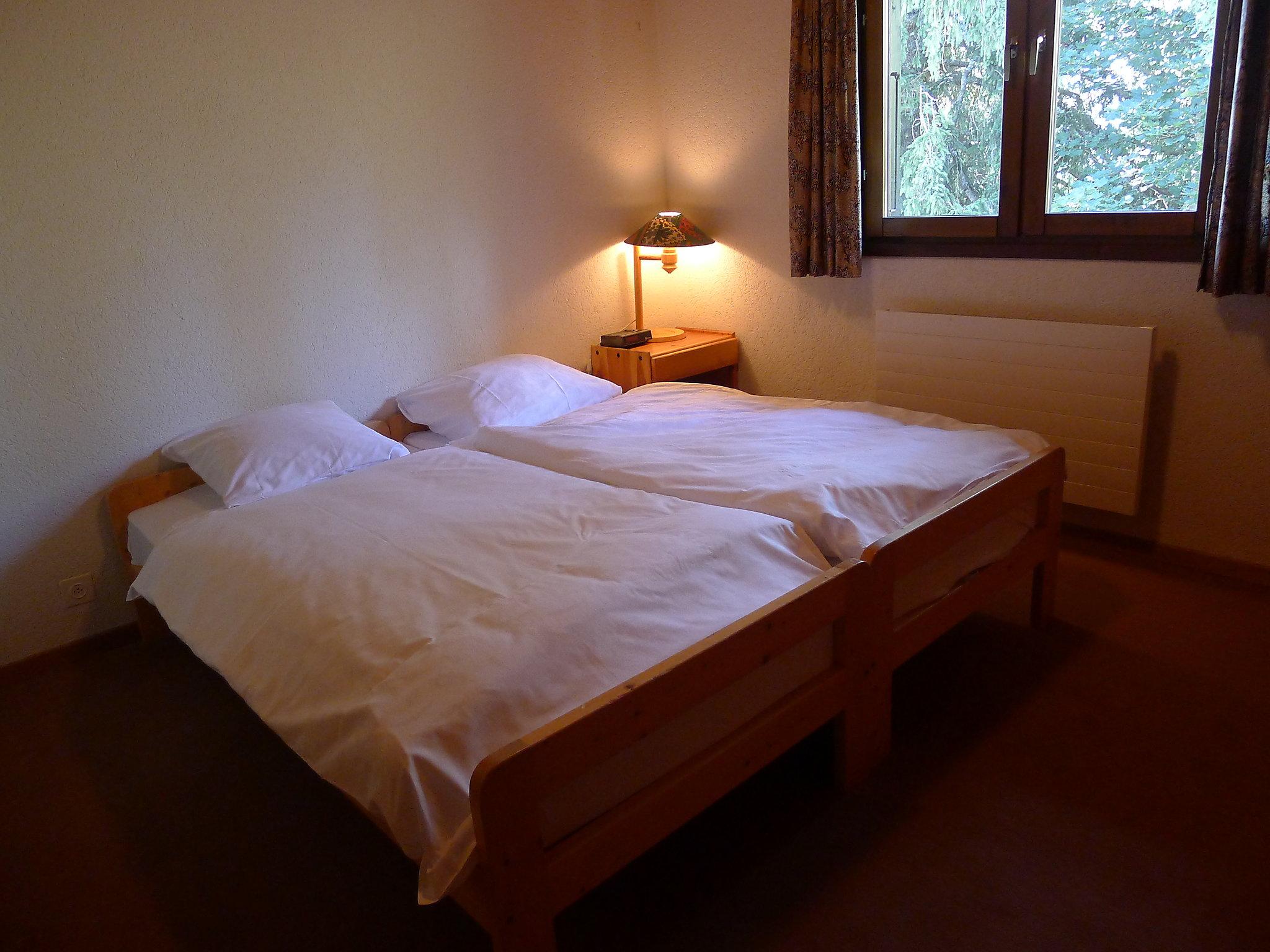 Foto 4 - Appartamento con 2 camere da letto a Gryon con giardino e vista sulle montagne