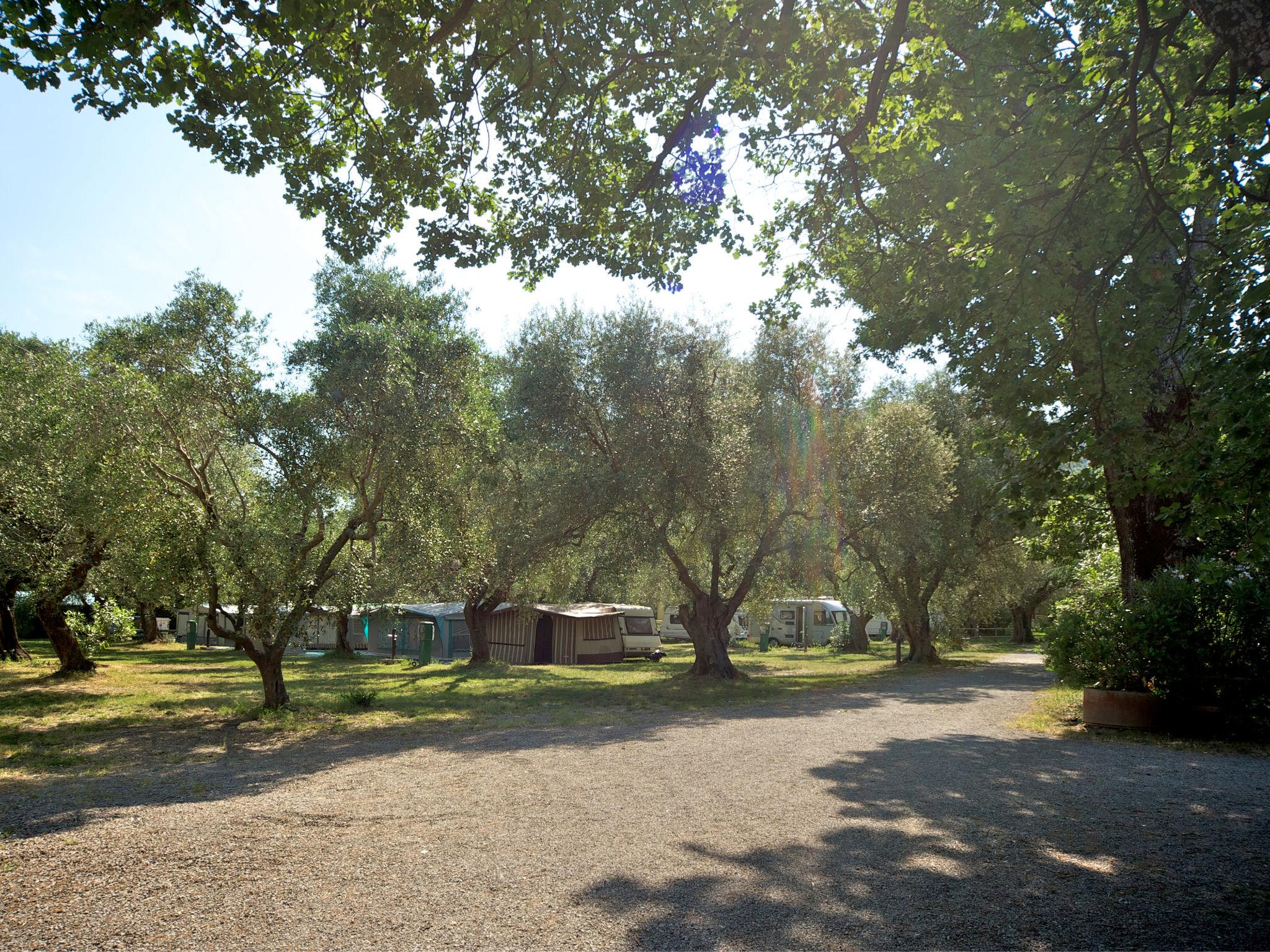 Foto 19 - Haus mit 2 Schlafzimmern in Scarlino mit schwimmbad und blick aufs meer