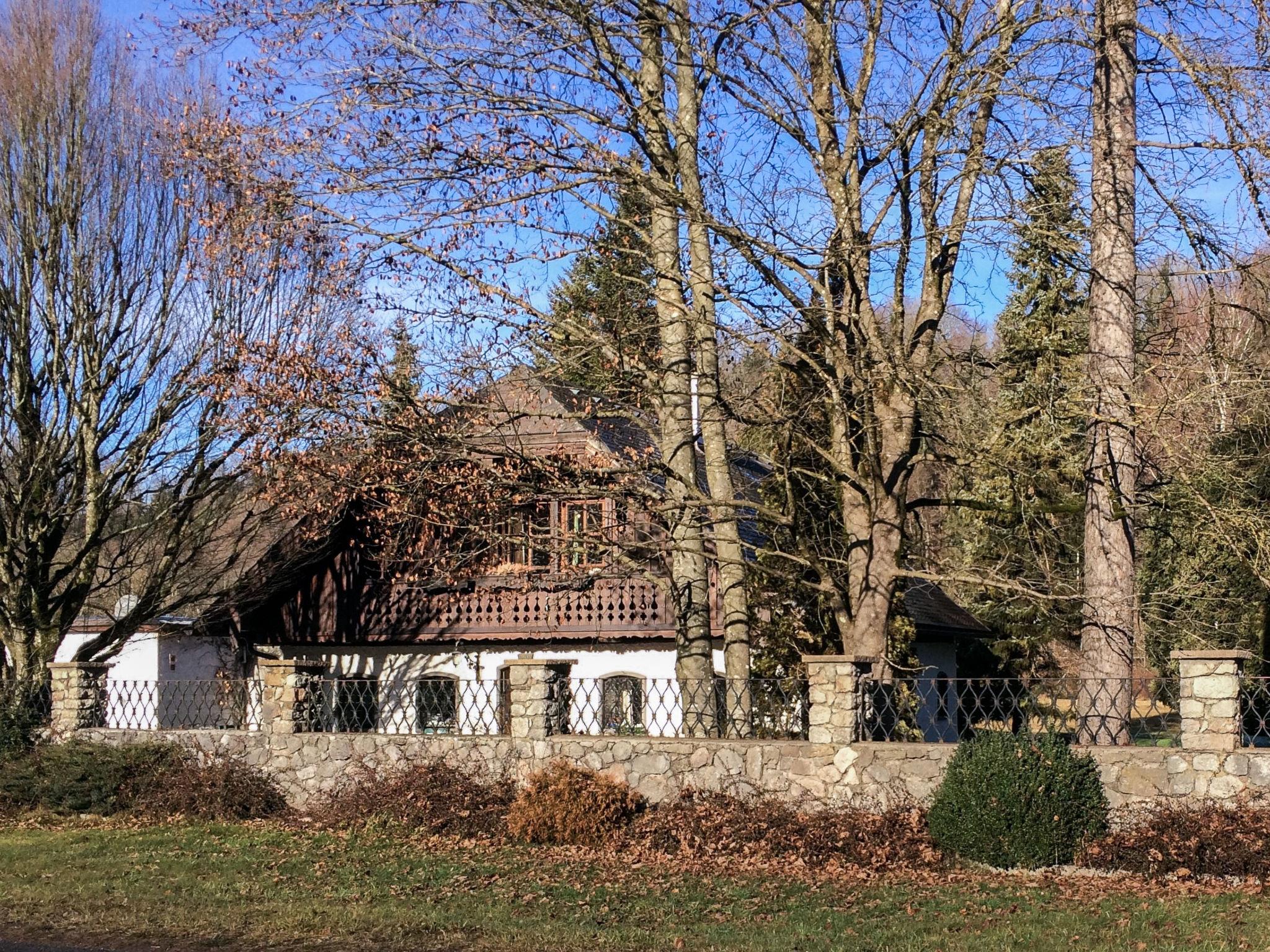 Photo 39 - Maison de 1 chambre à Strobl avec jardin et vues sur la montagne