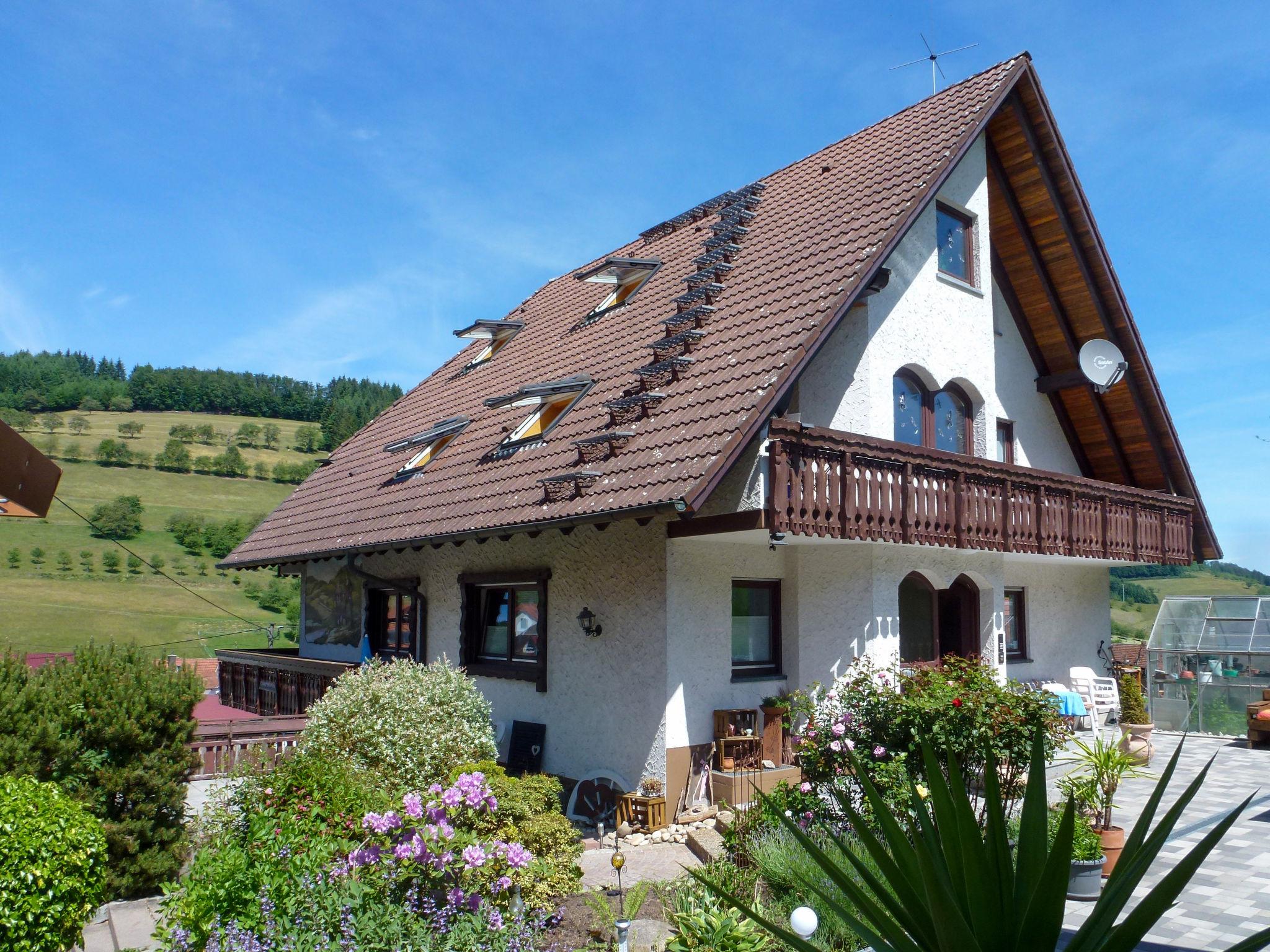 Foto 1 - Apartamento de 1 quarto em Steinach com piscina e vista para a montanha