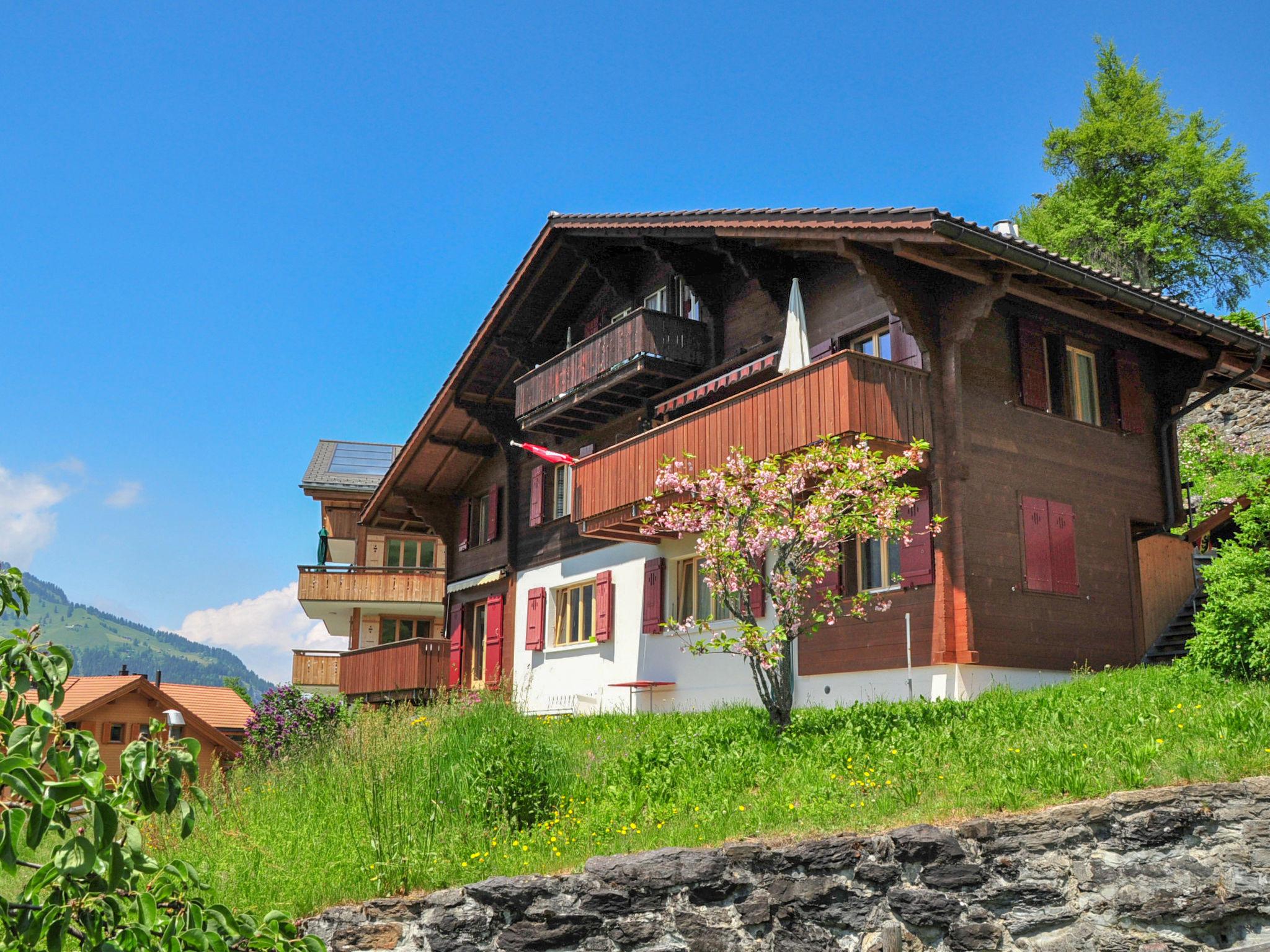 Foto 12 - Apartamento de 2 quartos em Lauterbrunnen com vista para a montanha