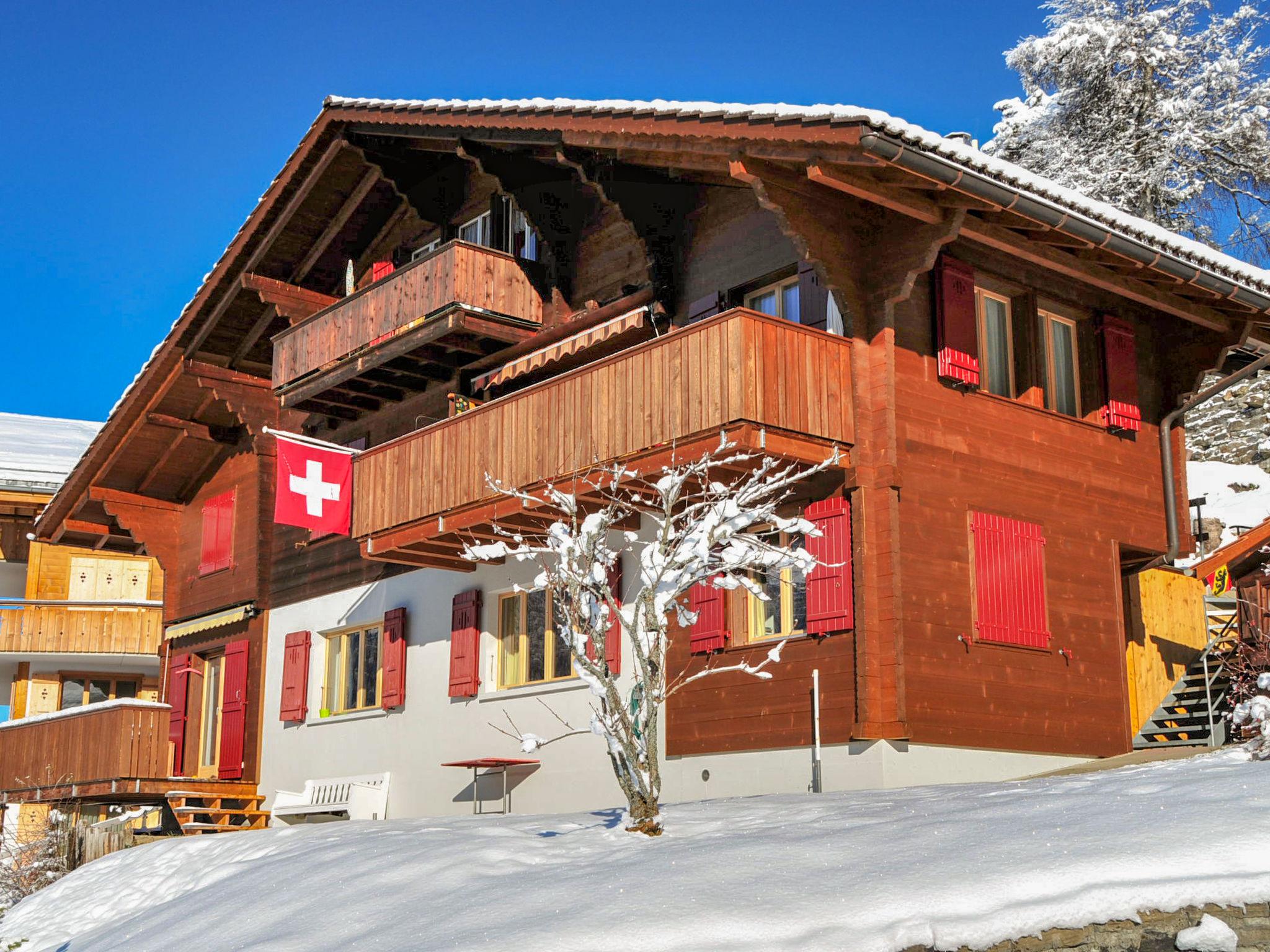 Foto 18 - Apartamento de 2 quartos em Lauterbrunnen com vista para a montanha