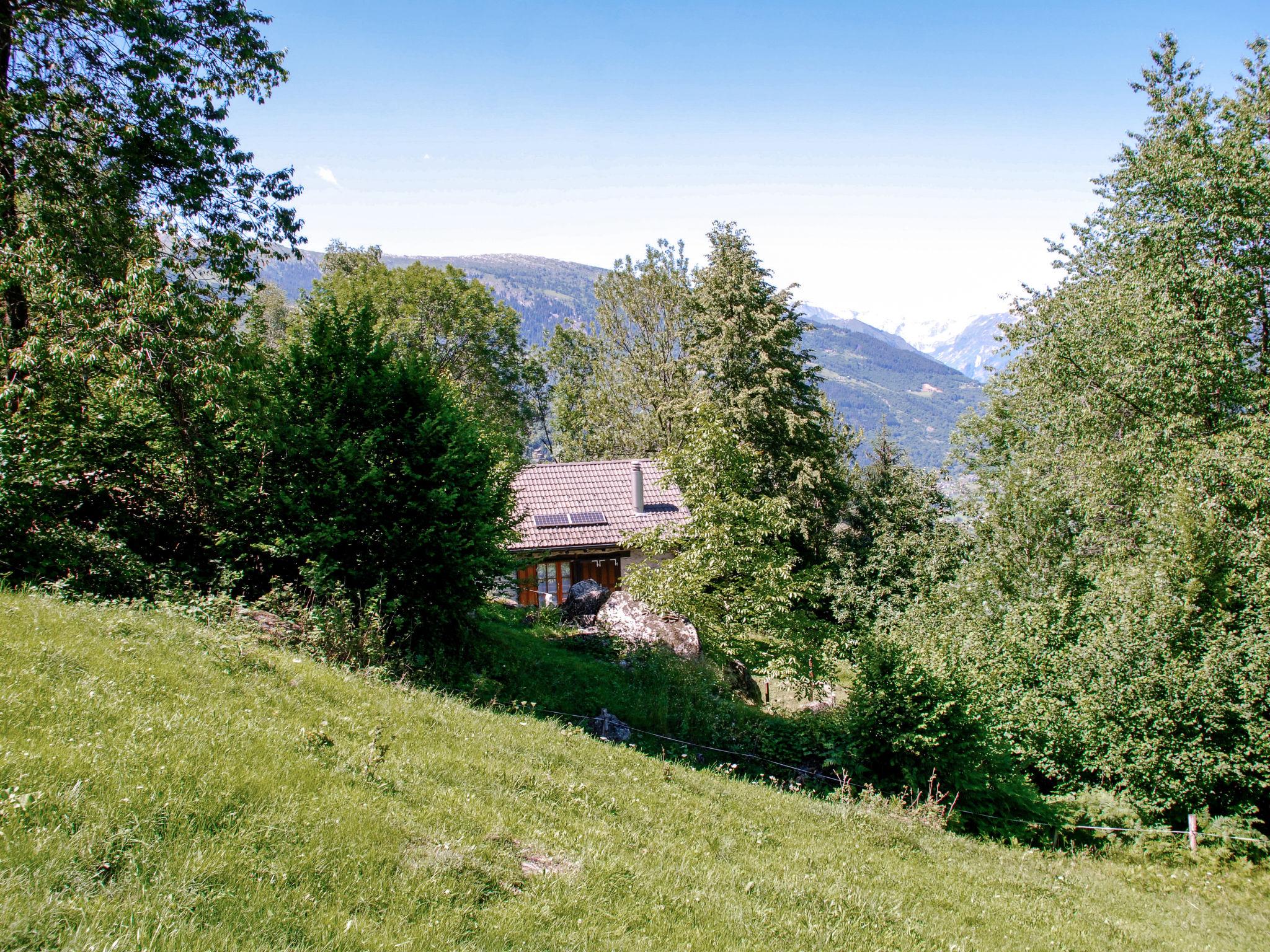 Photo 14 - Maison de 1 chambre à Acquarossa avec terrasse et vues sur la montagne