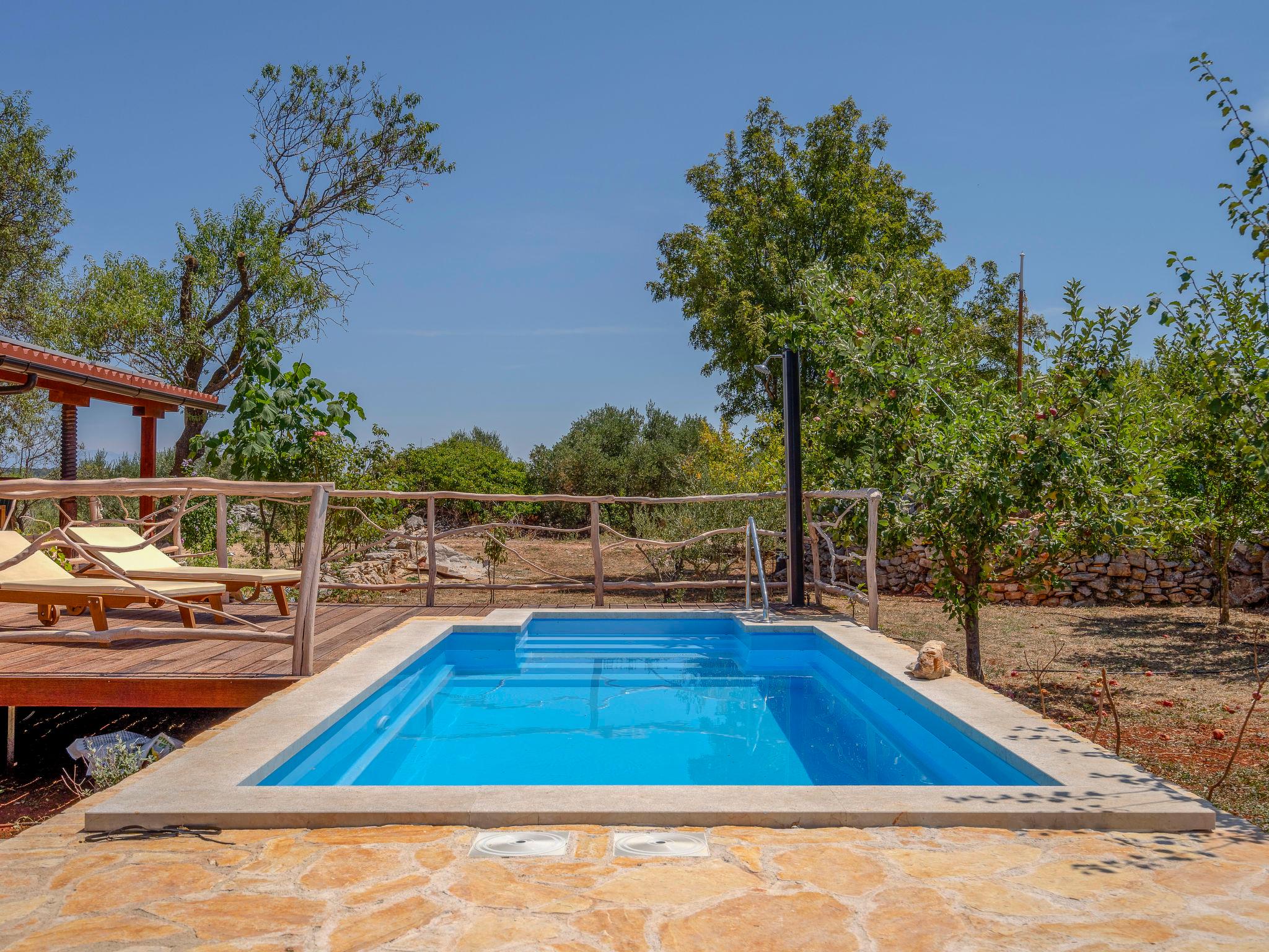 Photo 17 - Maison en Stari Grad avec piscine privée et jardin