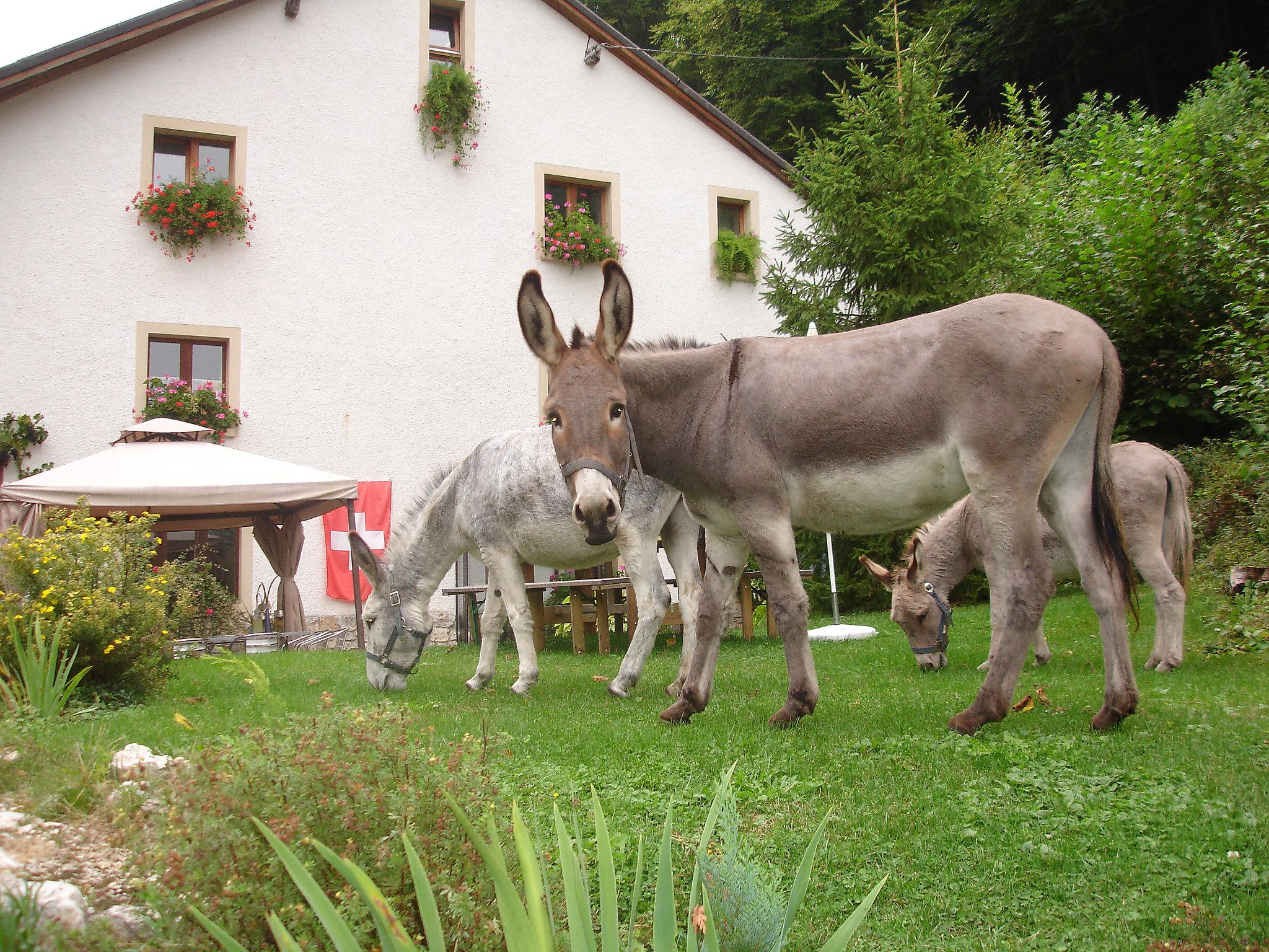 Foto 12 - Appartamento a Clos du Doubs con giardino