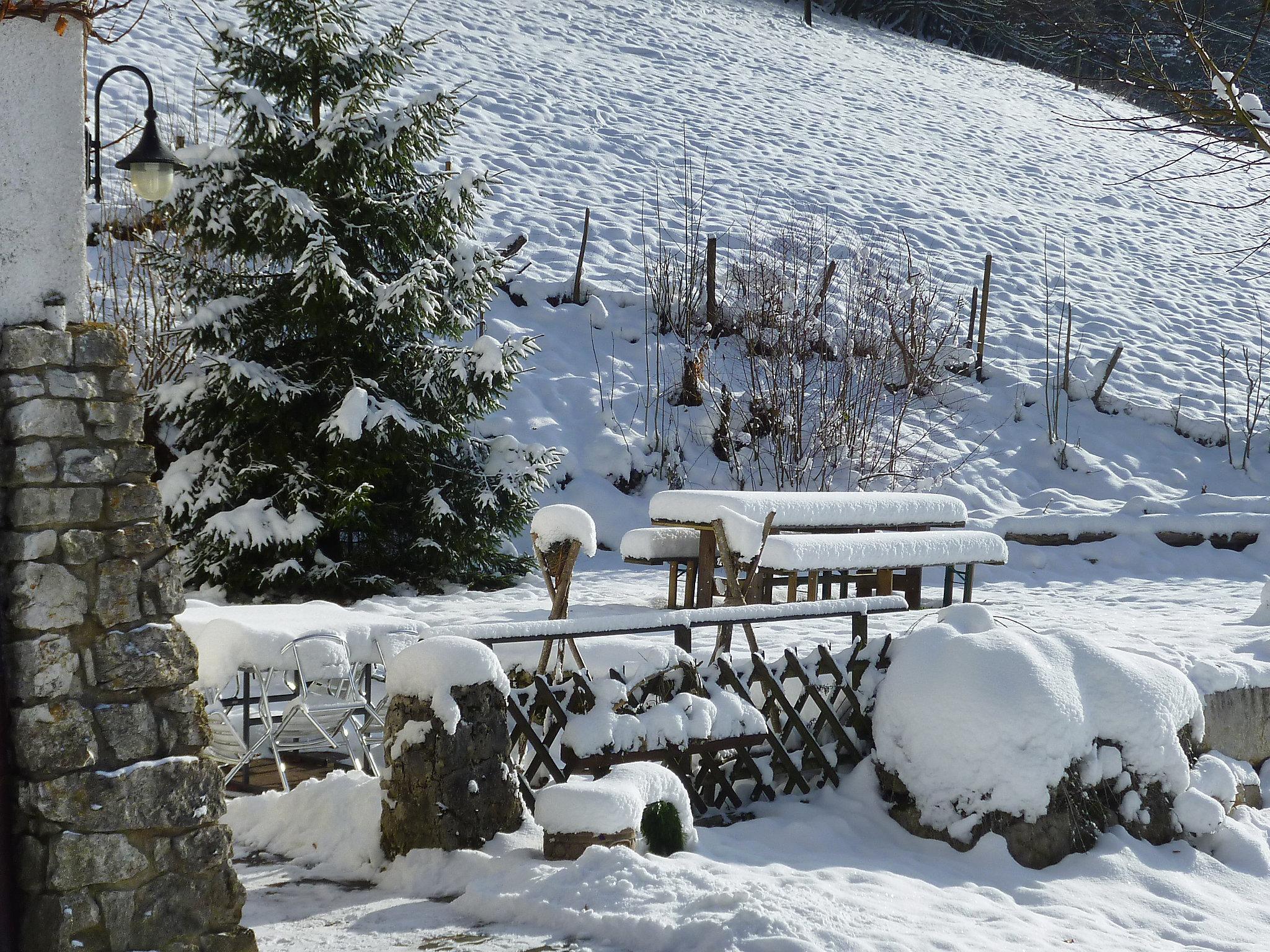 Foto 22 - Appartamento con 4 camere da letto a Clos du Doubs con giardino